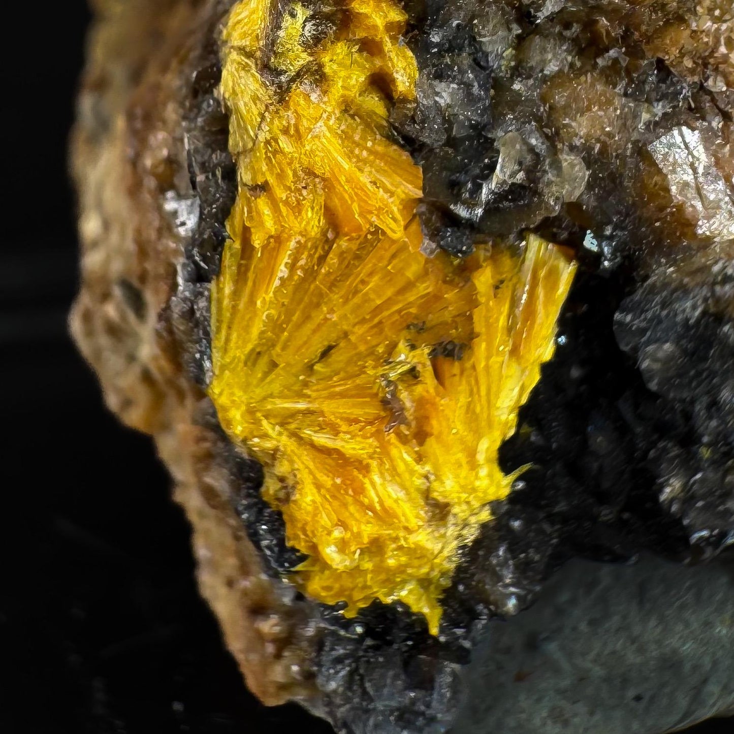 Boltwoodite | rare mineral specimen from Namibia