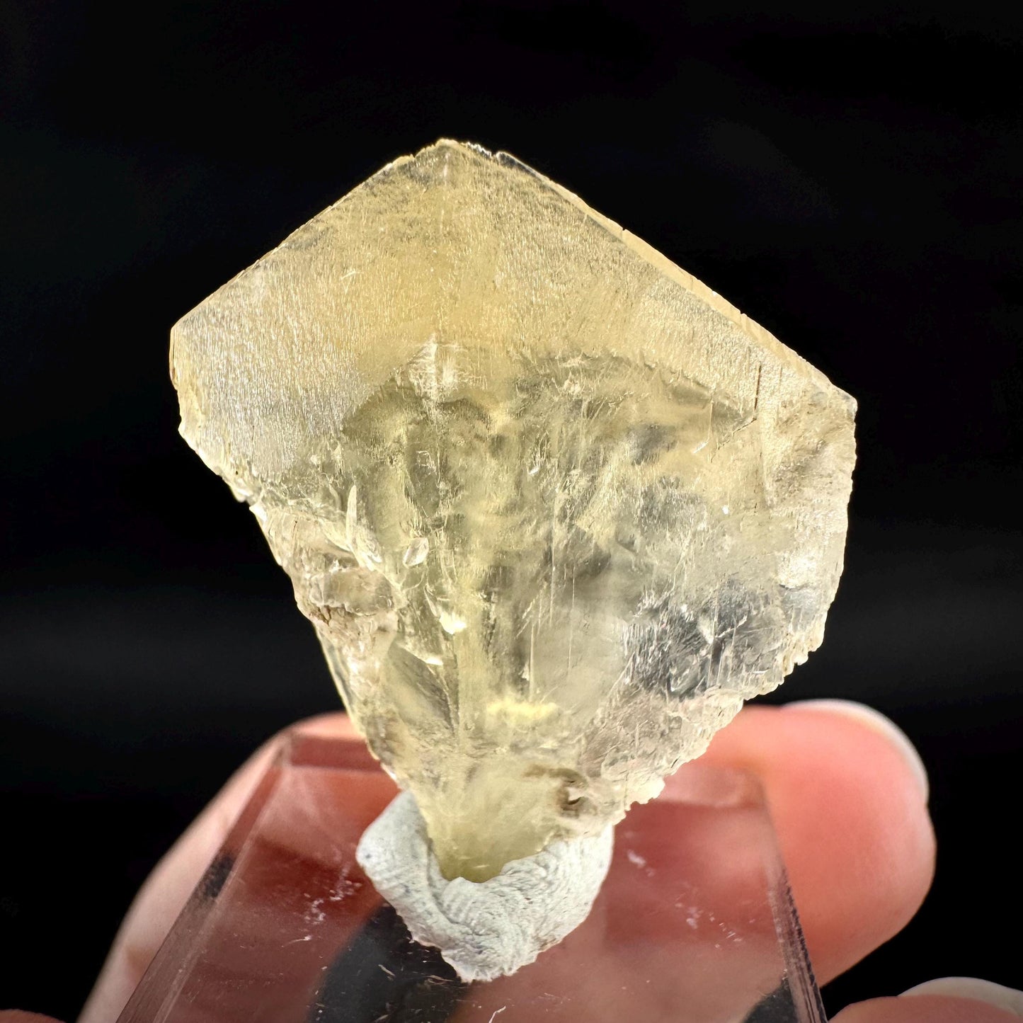 Golden Selenite Blade | Fluorescent UV Reactive Gypsum Crystal