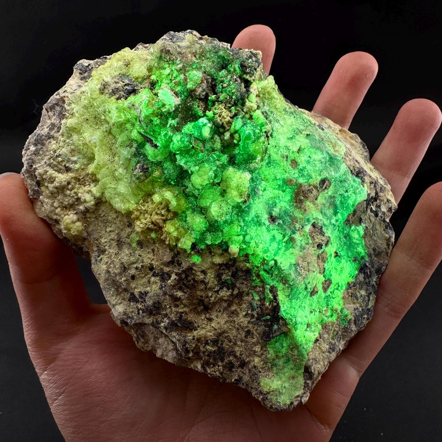 UV Reactive Hyalite Opal | Fluorescent Mineral Specimen from Namibia