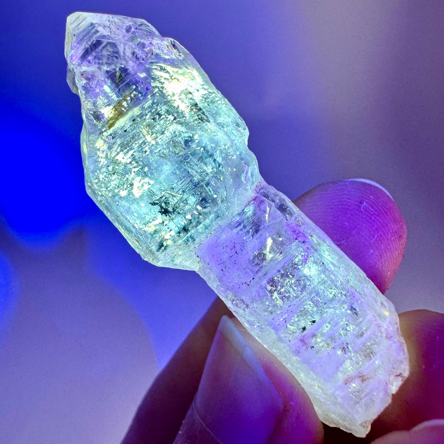 Firefly Petroleum Quartz Sceptre | UV reactive crystal, fluorescent mineral from Madagascar