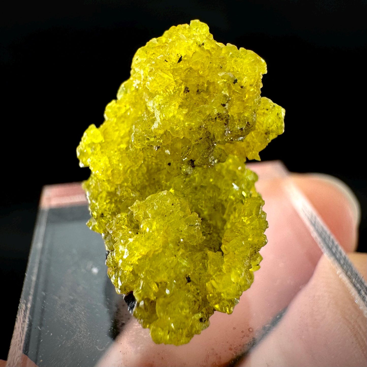 Ettringite Crystal Specimen | N'Chwaning Mine, South Africa