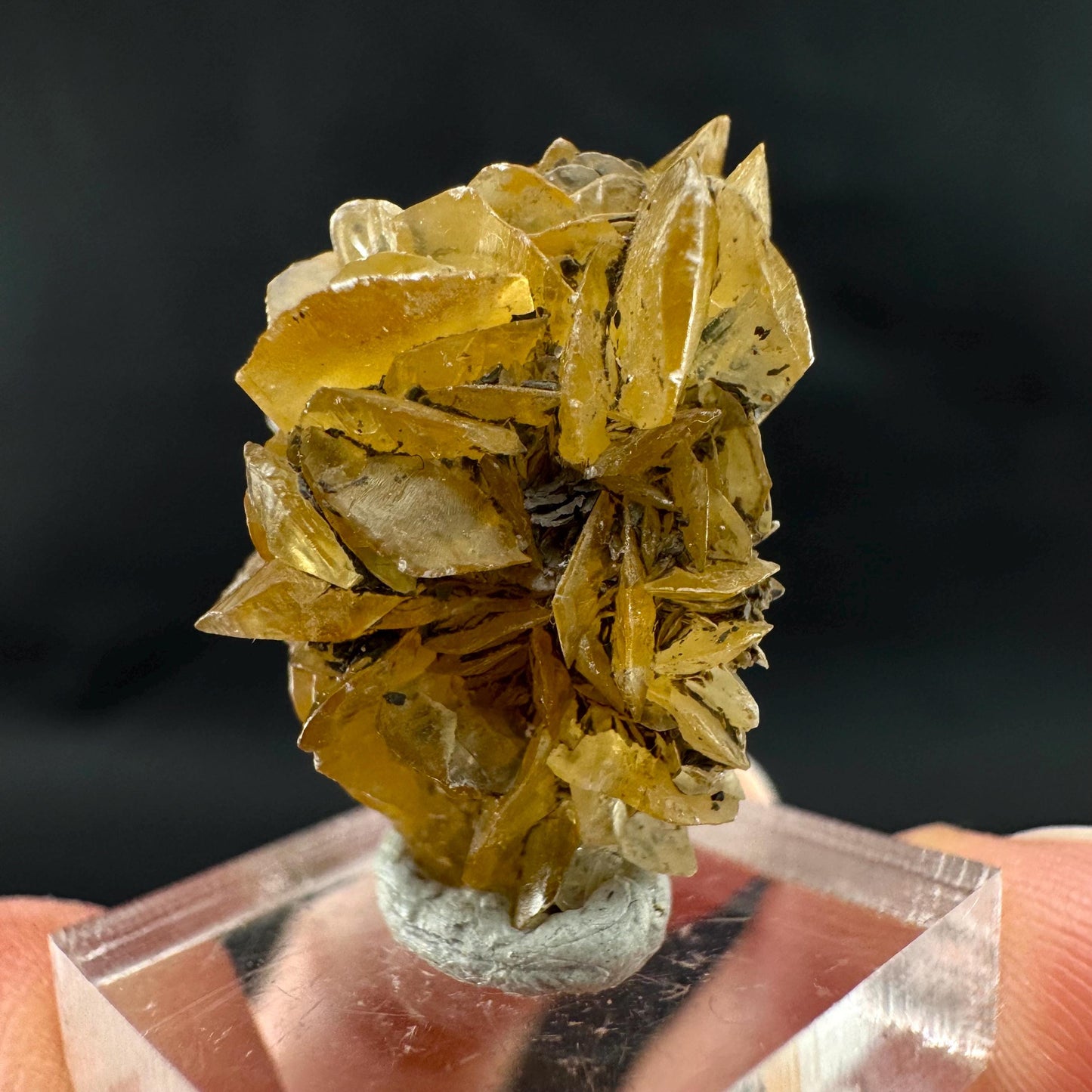 Golden Selenite Rosette | Fluorescent UV Reactive Gypsum Crystal