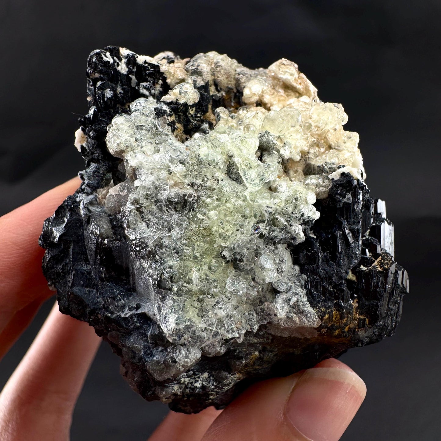 UV Reactive Hyalite Opal on Black Tourmaline | Fluorescent Mineral Specimen from Namibia