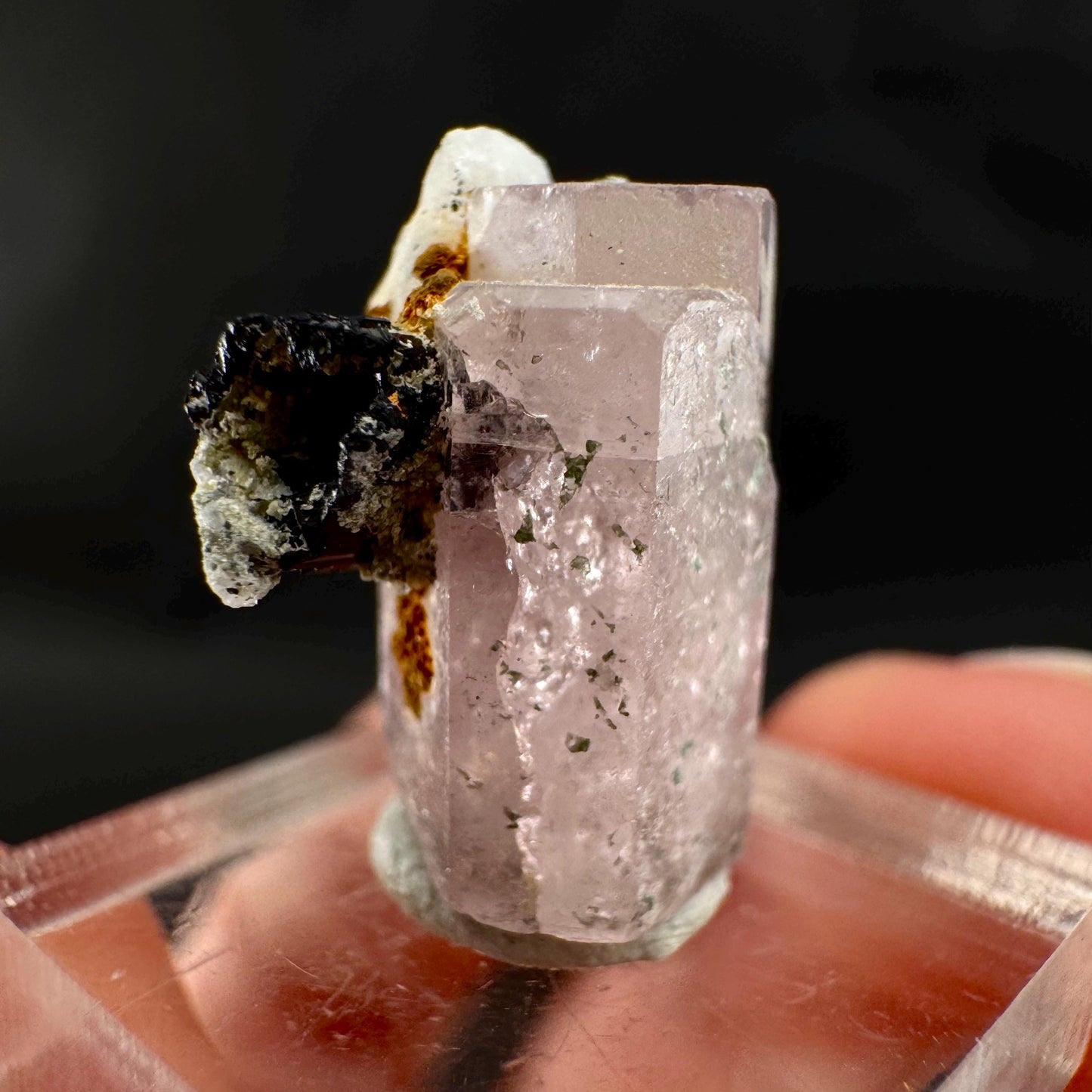 Pink Fluorapatite w/ Black Tourmaline | UV reactive crystal, rare mineral specimen from Pakistan
