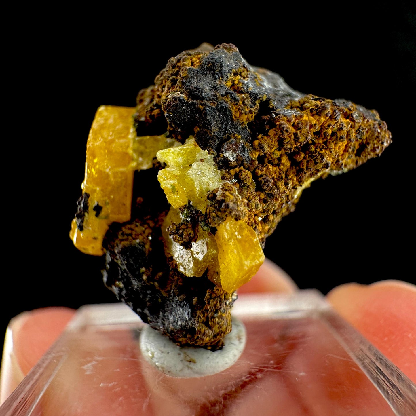 Mimetite Mineral Specimen | Rare Yellow Crystal from Congo
