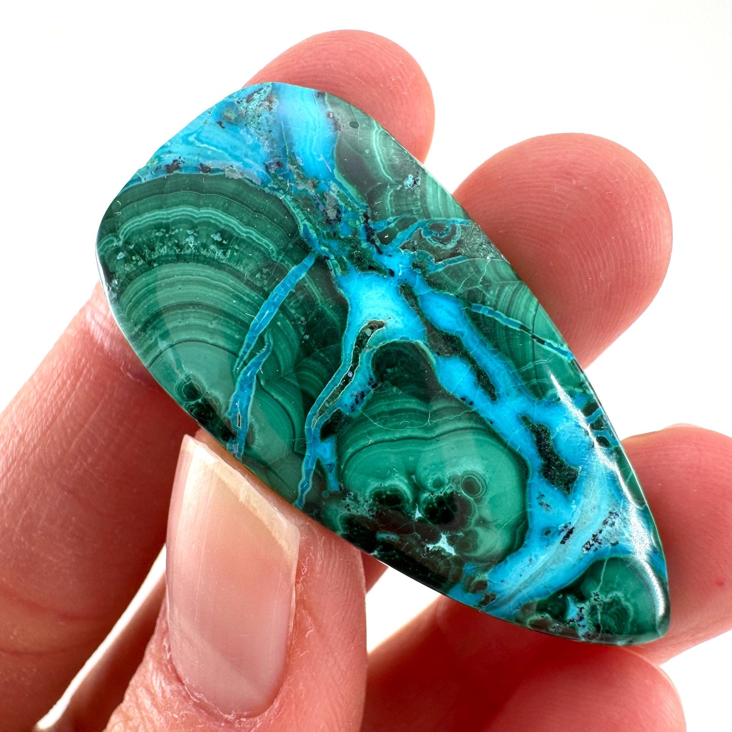 Malachite Chrysocolla Cabochon | Green and Blue Malacolla Gemstone