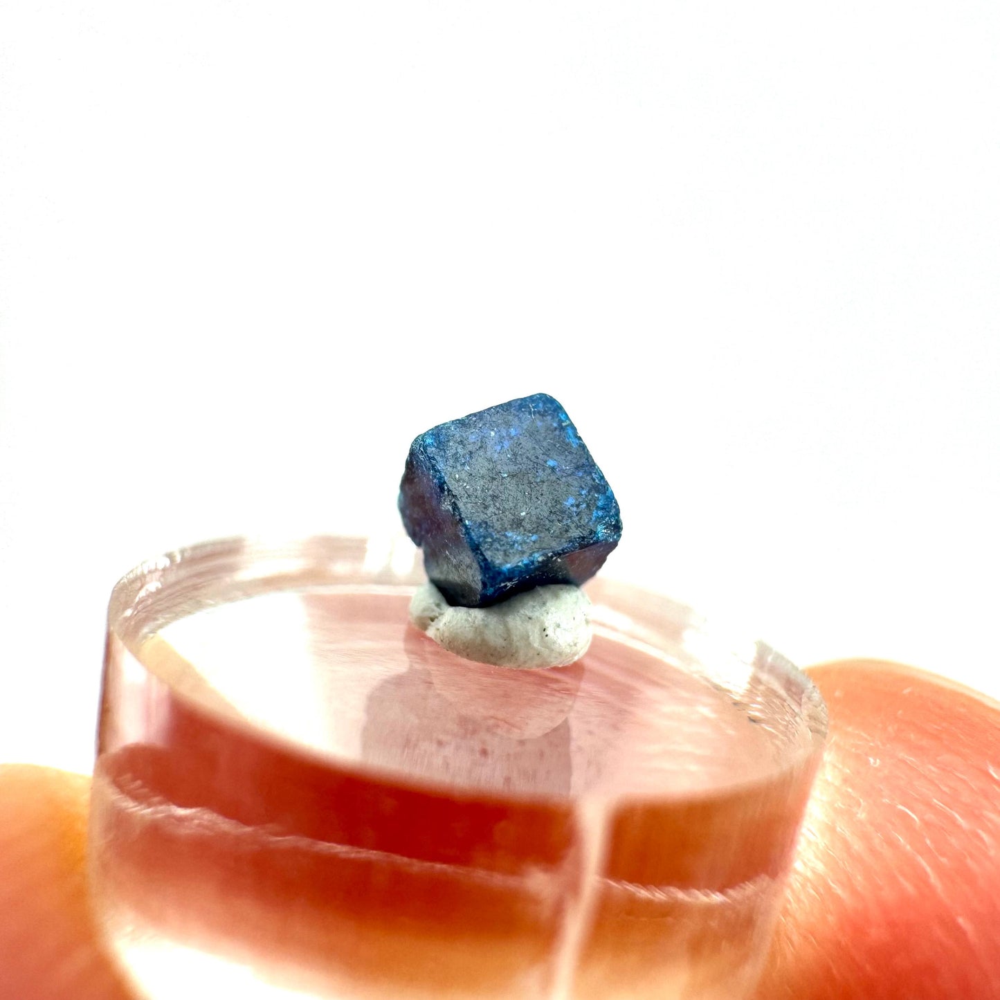 Boleite | blue cube crystal, tiny rare mineral specimen from Mexico