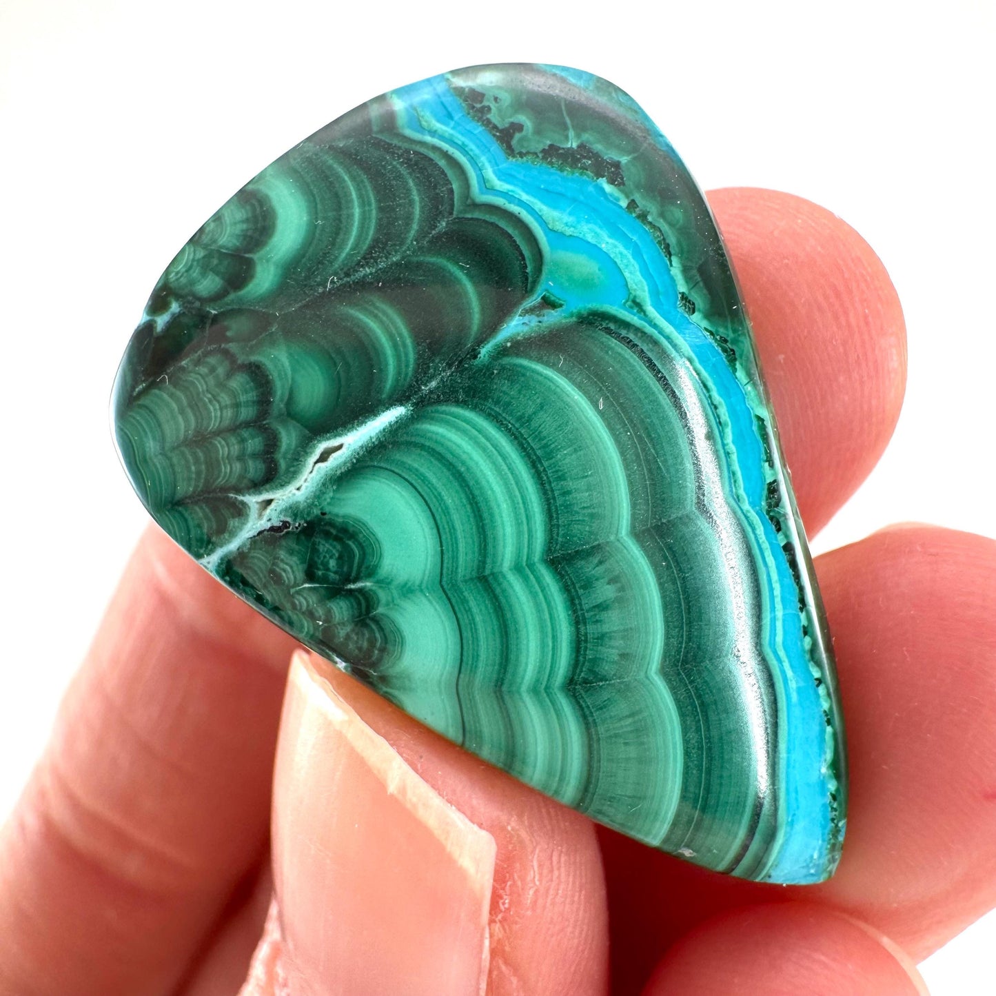 Malachite Chrysocolla Cabochon | Green and Blue Malacolla Gemstone