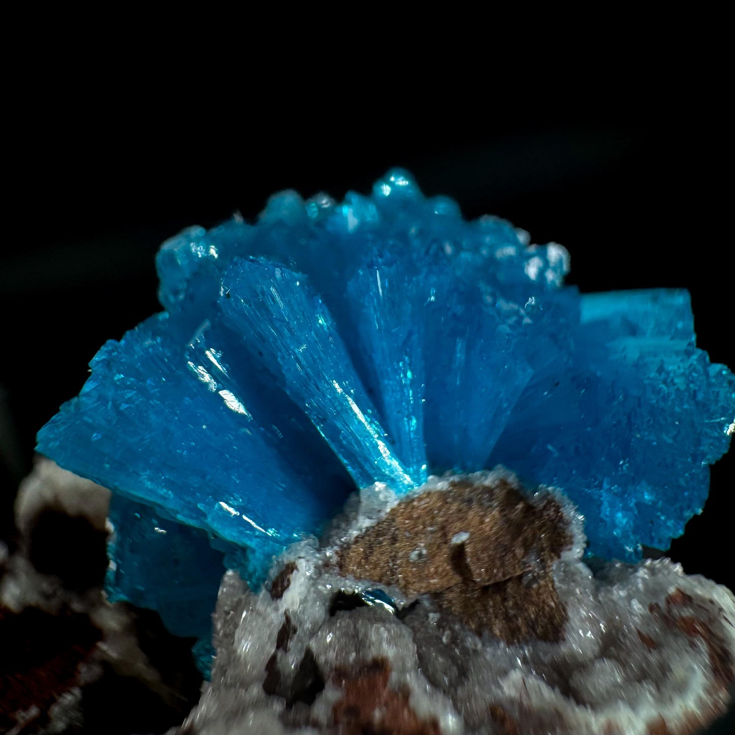 Deep Blue Cavansite on Matrix | crystal cluster, mineral specimen