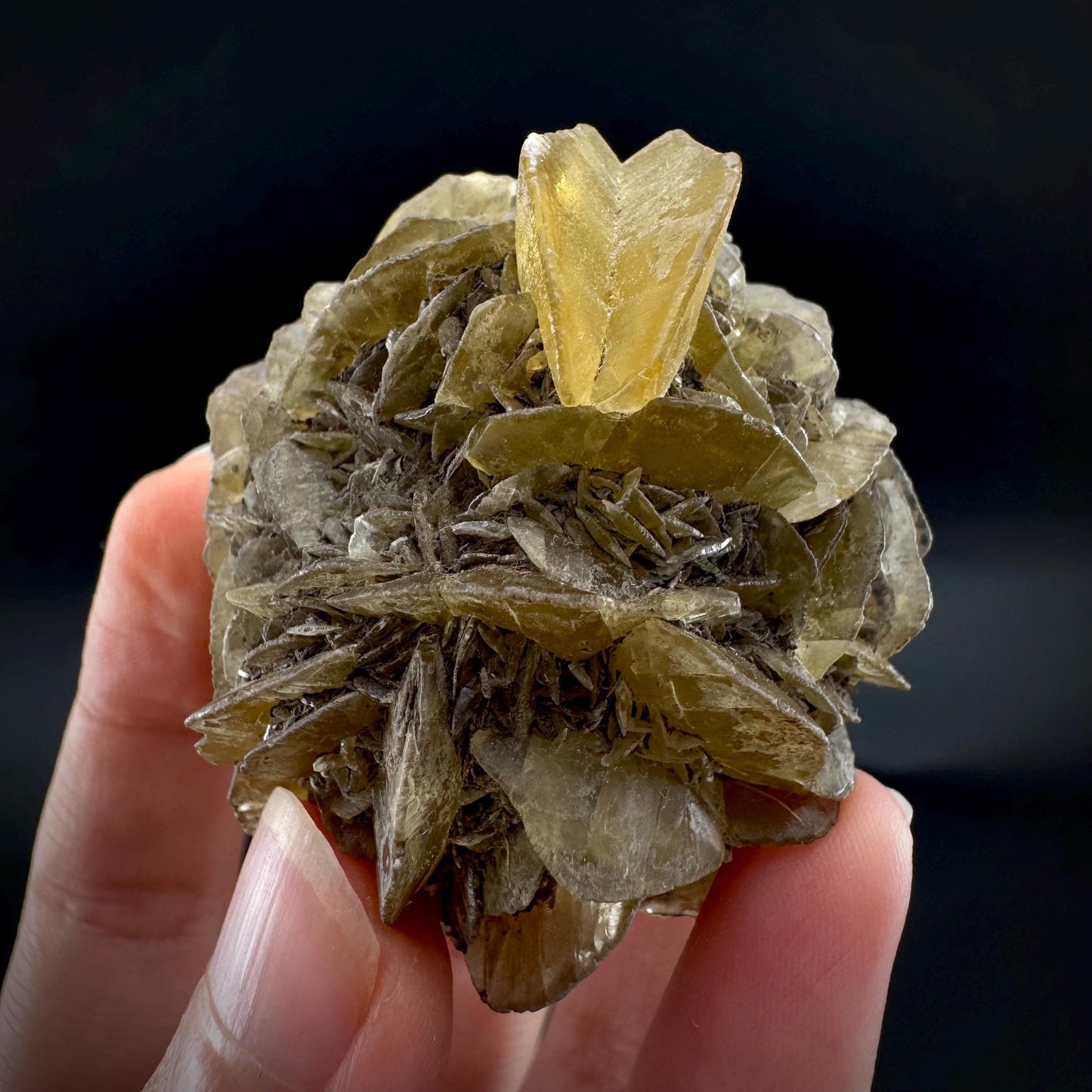 Golden Selenite Rosette | Phosphorescent UV Reactive Gypsum Crystal from Canada