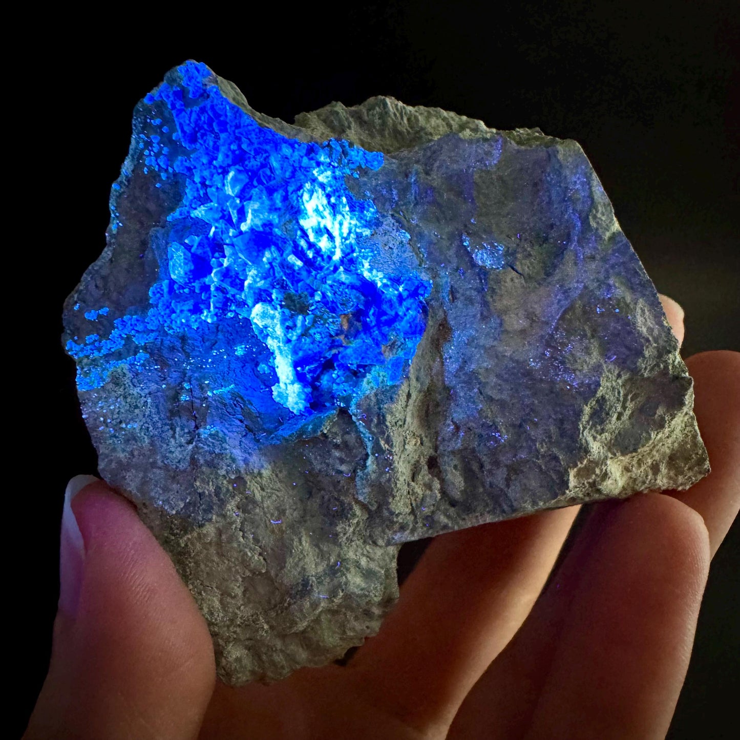 Benitoite on Matrix (California, USA) | UV reactive benitoite crystal, rare mineral specimen