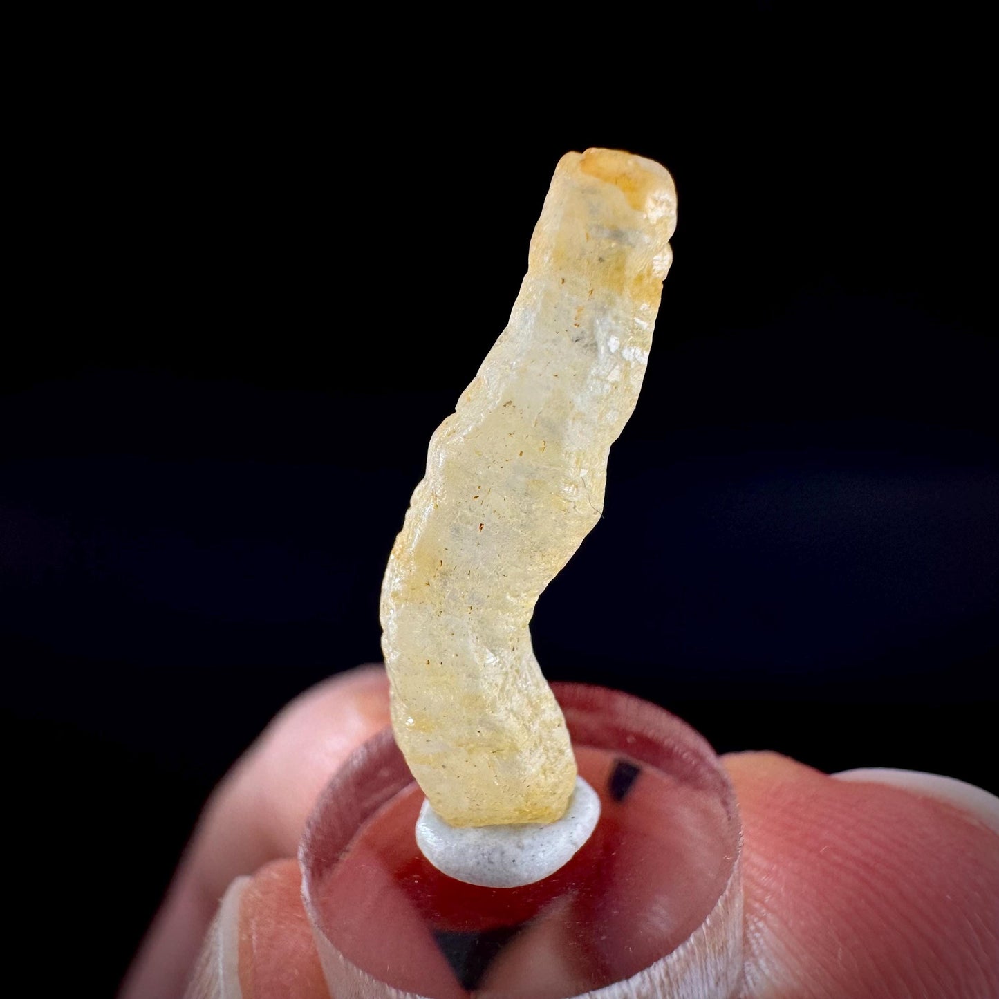Ceylon Sapphire | natural yellow crystal, uncut raw sapphire, mineral specimen from Sri Lanka