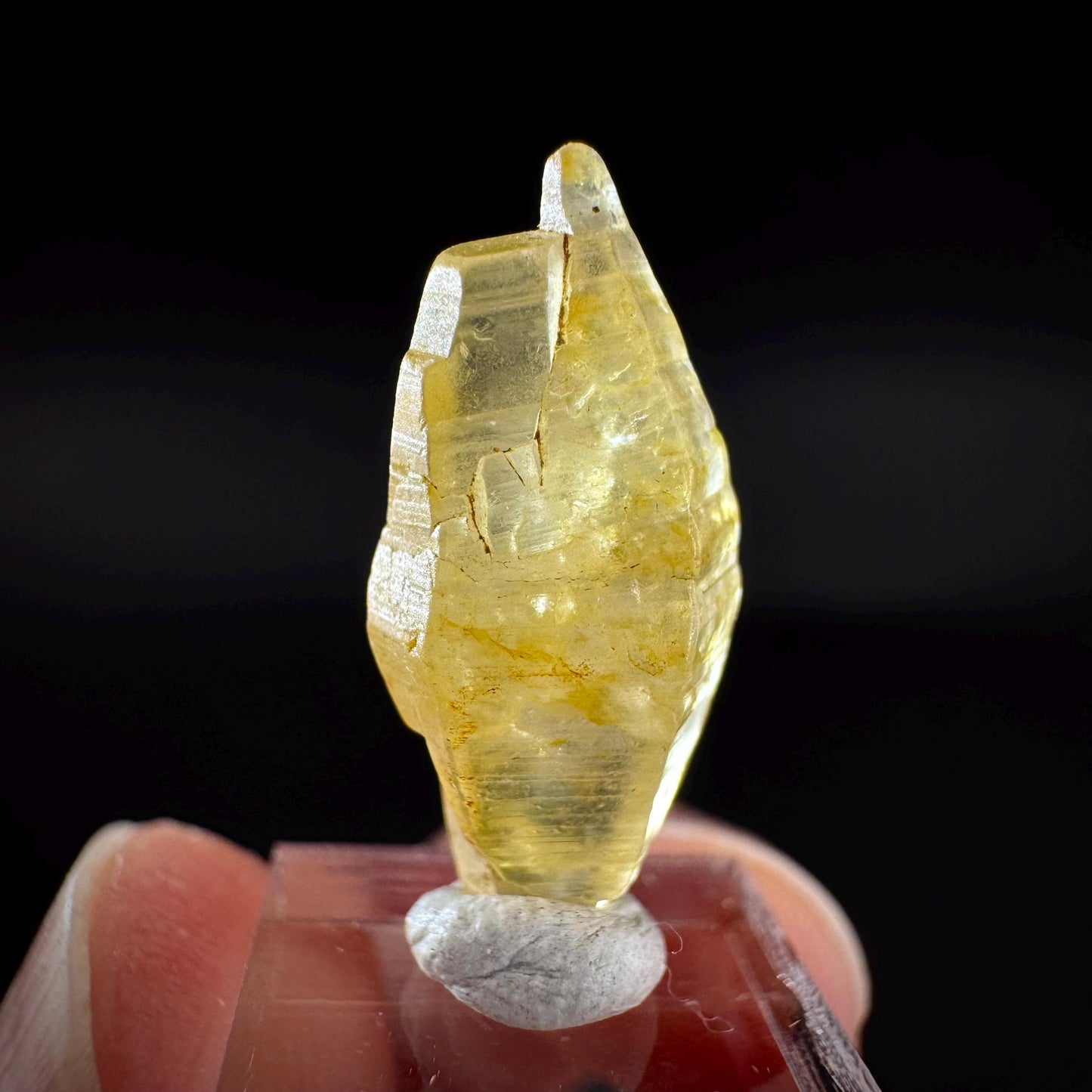 Ceylon Sapphire | natural yellow crystal, uncut raw sapphire, mineral specimen from Sri Lanka