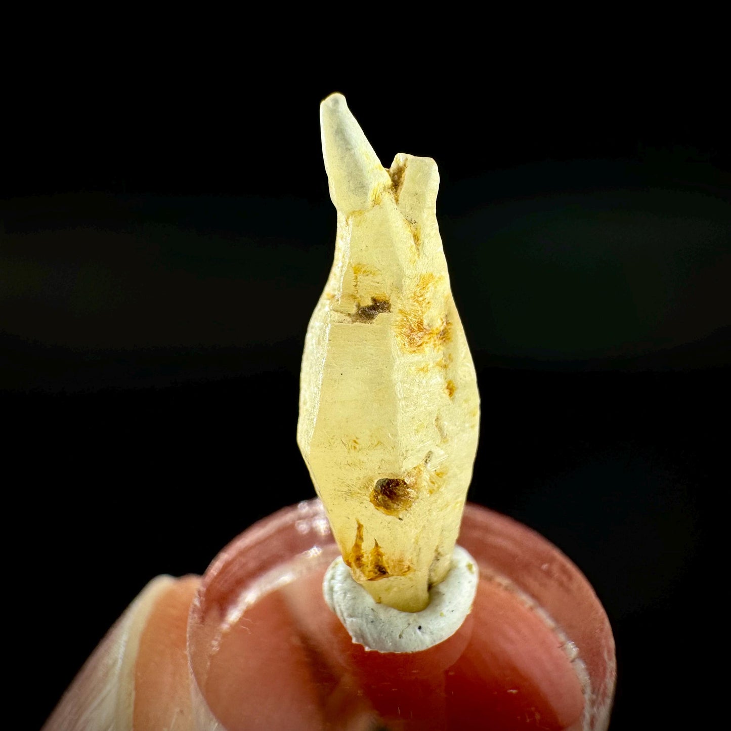Ceylon Sapphire | natural yellow crystal, uncut raw sapphire, mineral specimen from Sri Lanka