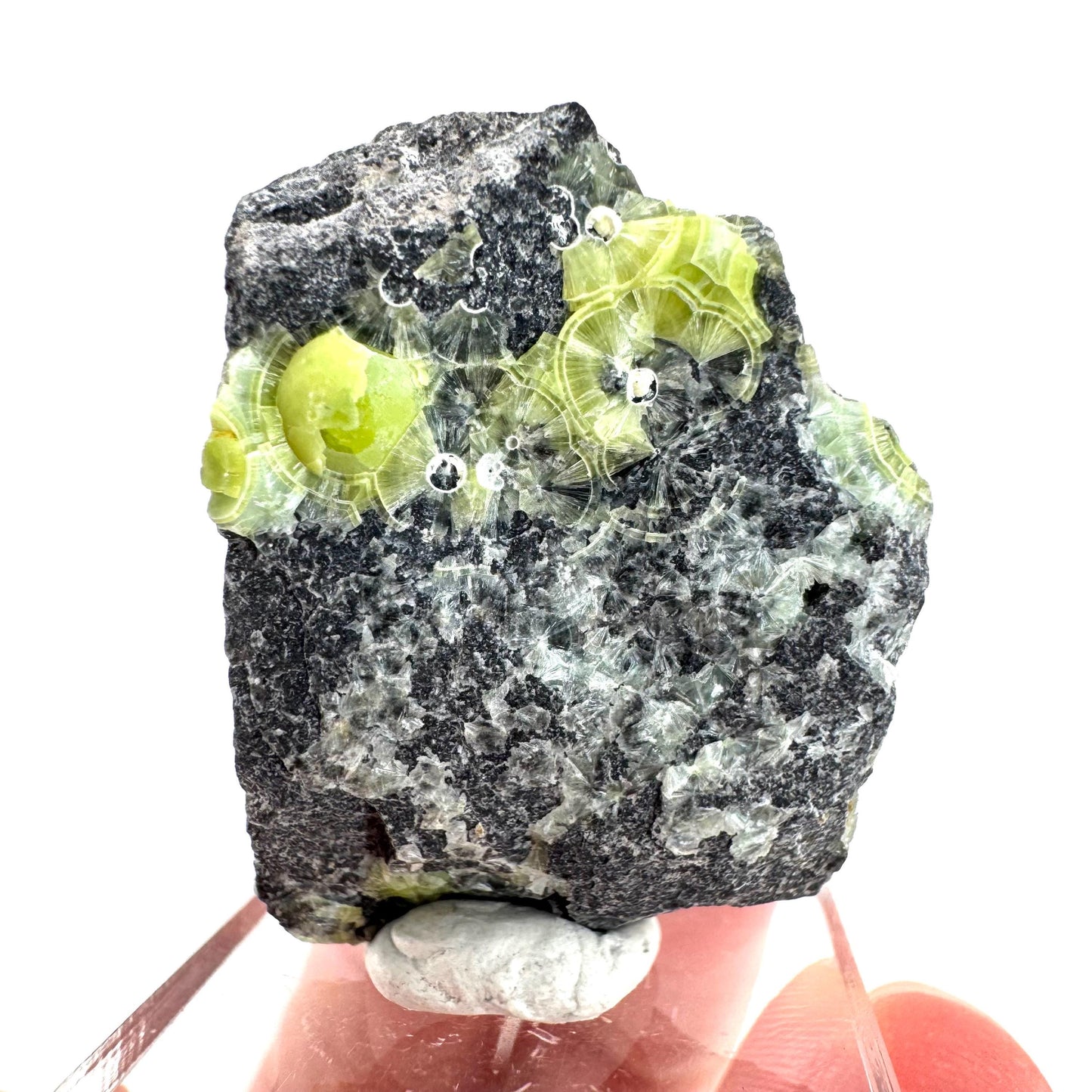 Wavellite (Arkansas, USA) | green crystal cluster, mineral specimen