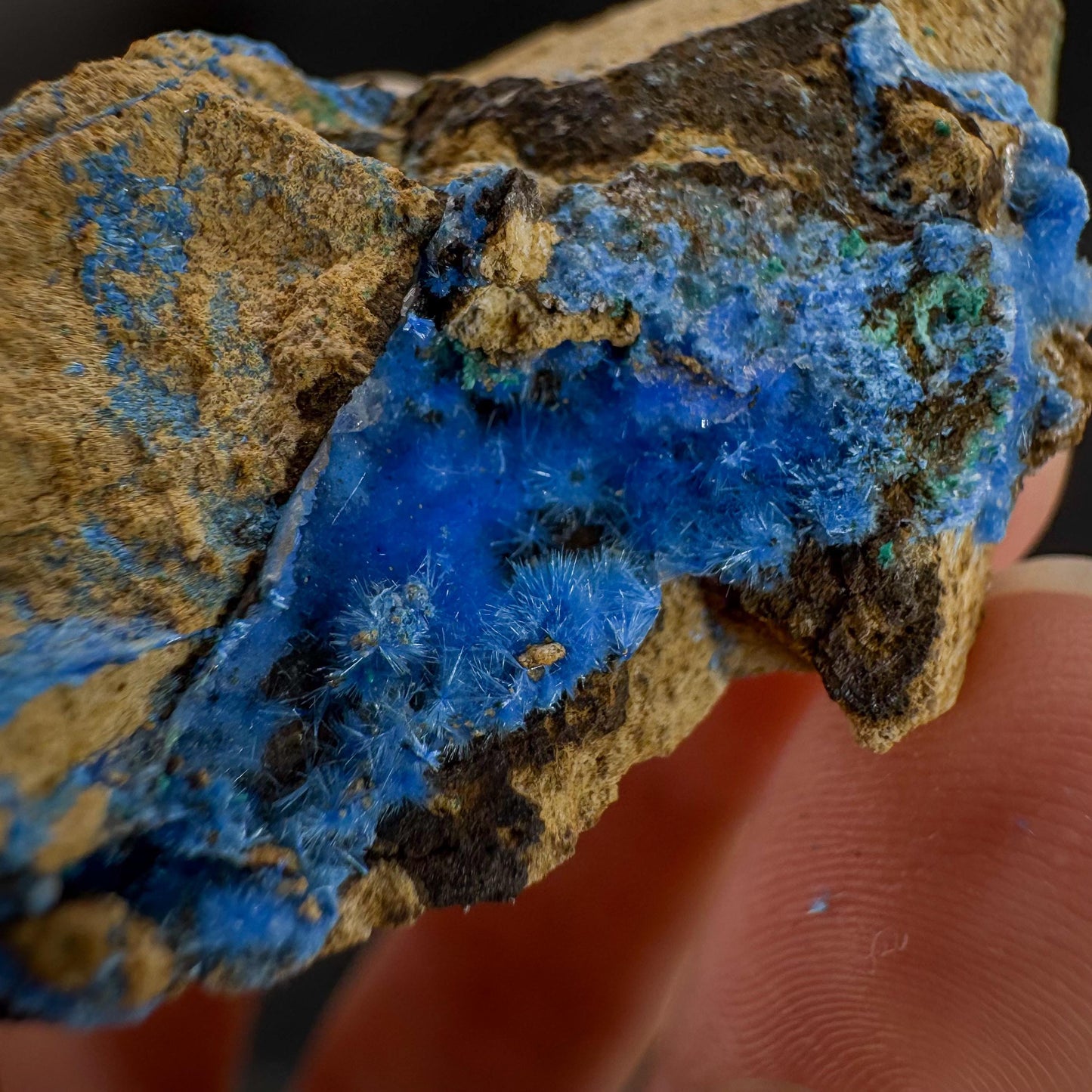 Cyanotrichite | fuzzy blue crystal, rare mineral specimen from Chile