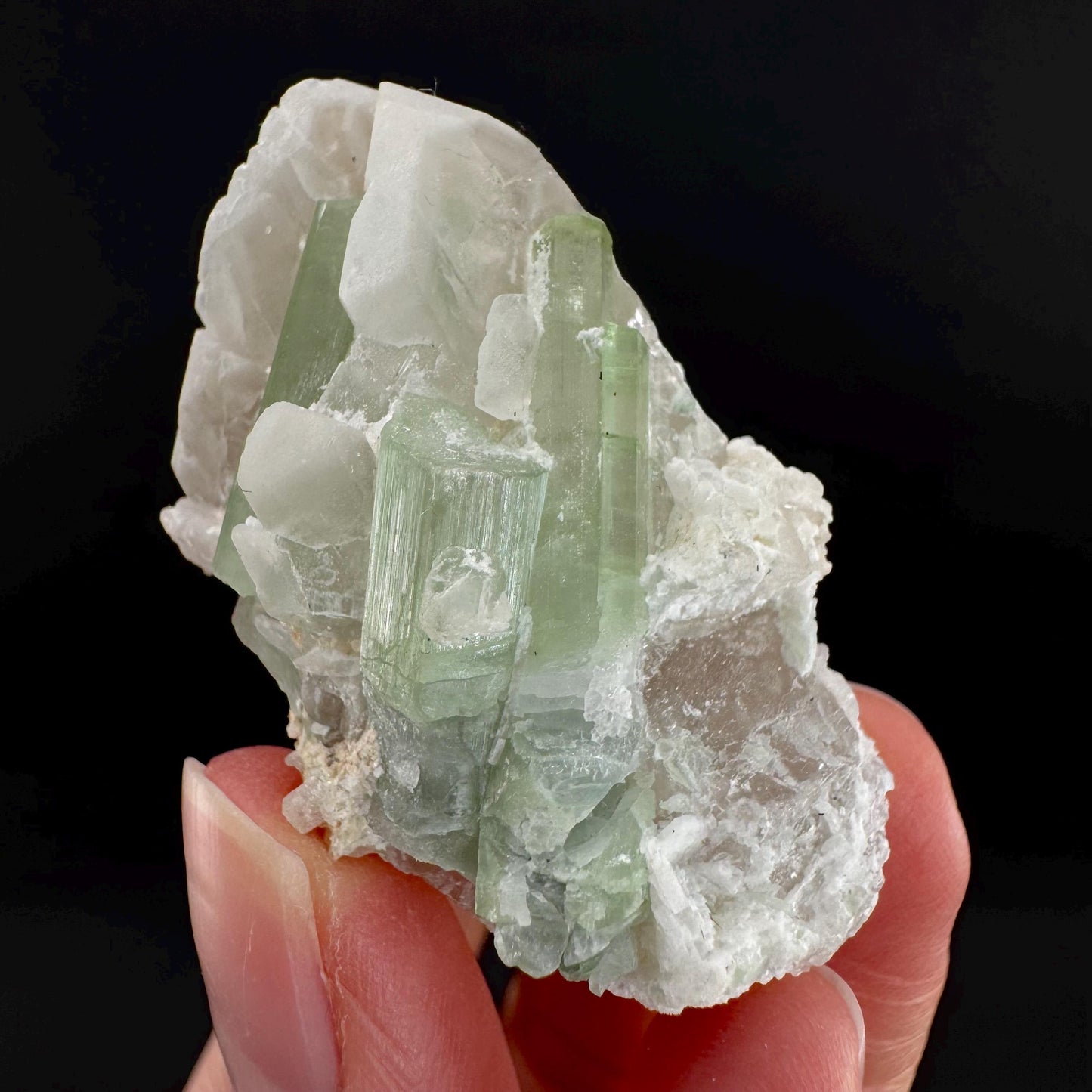 Tourmaline on Quartz | Natural Green Crystal, Mineral Specimen from Pakistan
