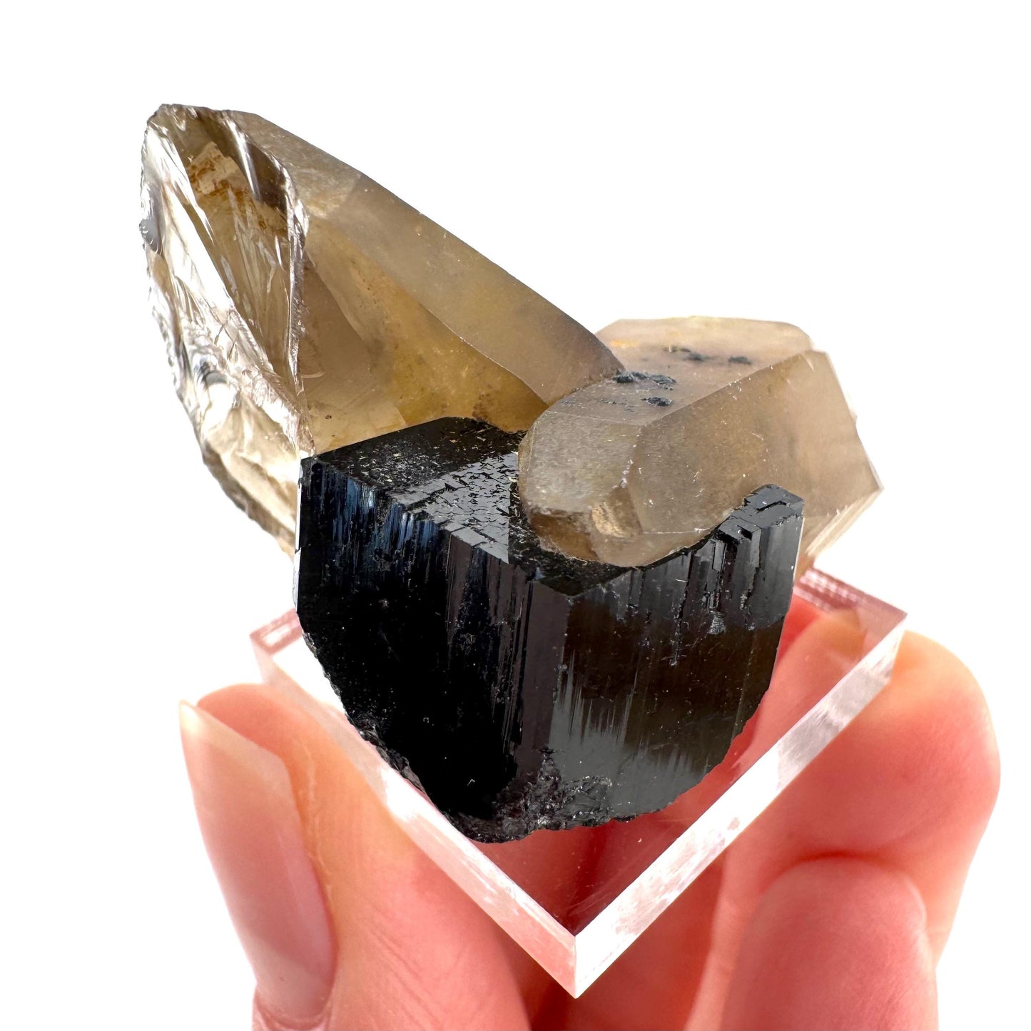 Black Tourmaline on Smoky Quartz | schorl crystal cluster, mineral specimen from Namibia