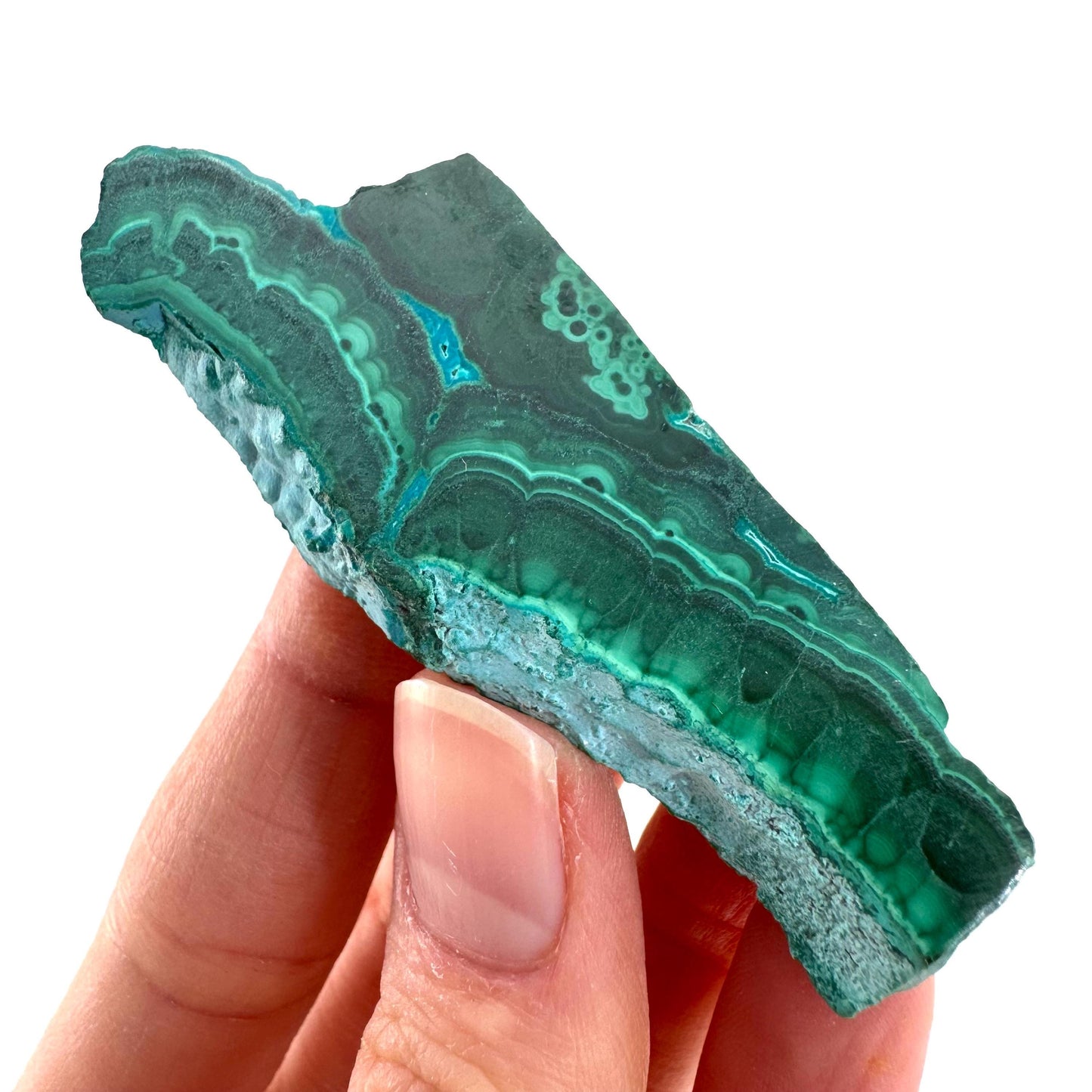 Malachite & Chrysocolla Slice | Polished Malacolla Crystal Slab