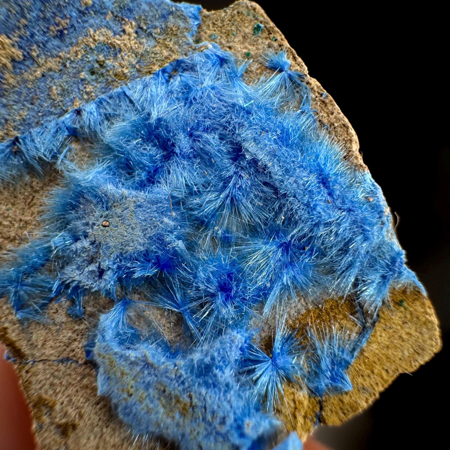 Cyanotrichite | fuzzy blue crystal, rare mineral specimen from Chile