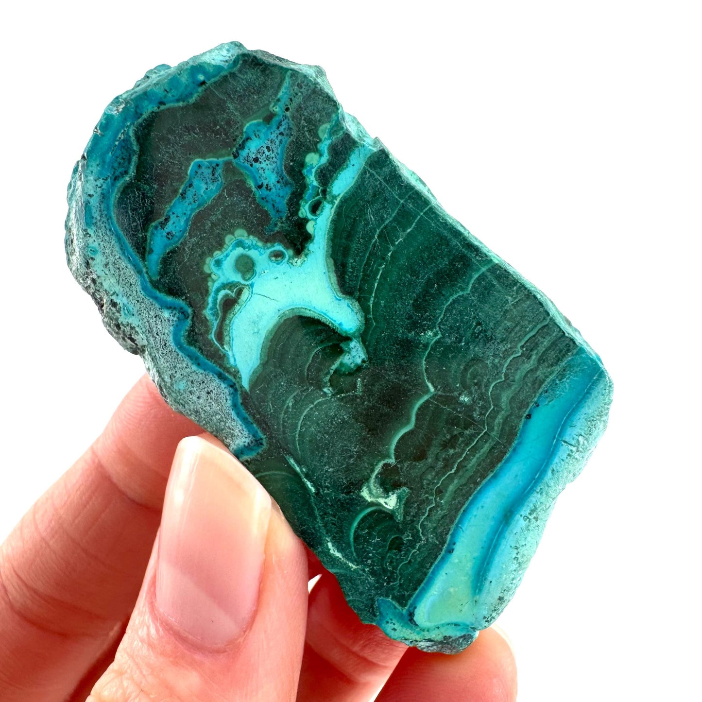 Malachite & Chrysocolla Slice | Polished Malacolla Crystal Slab