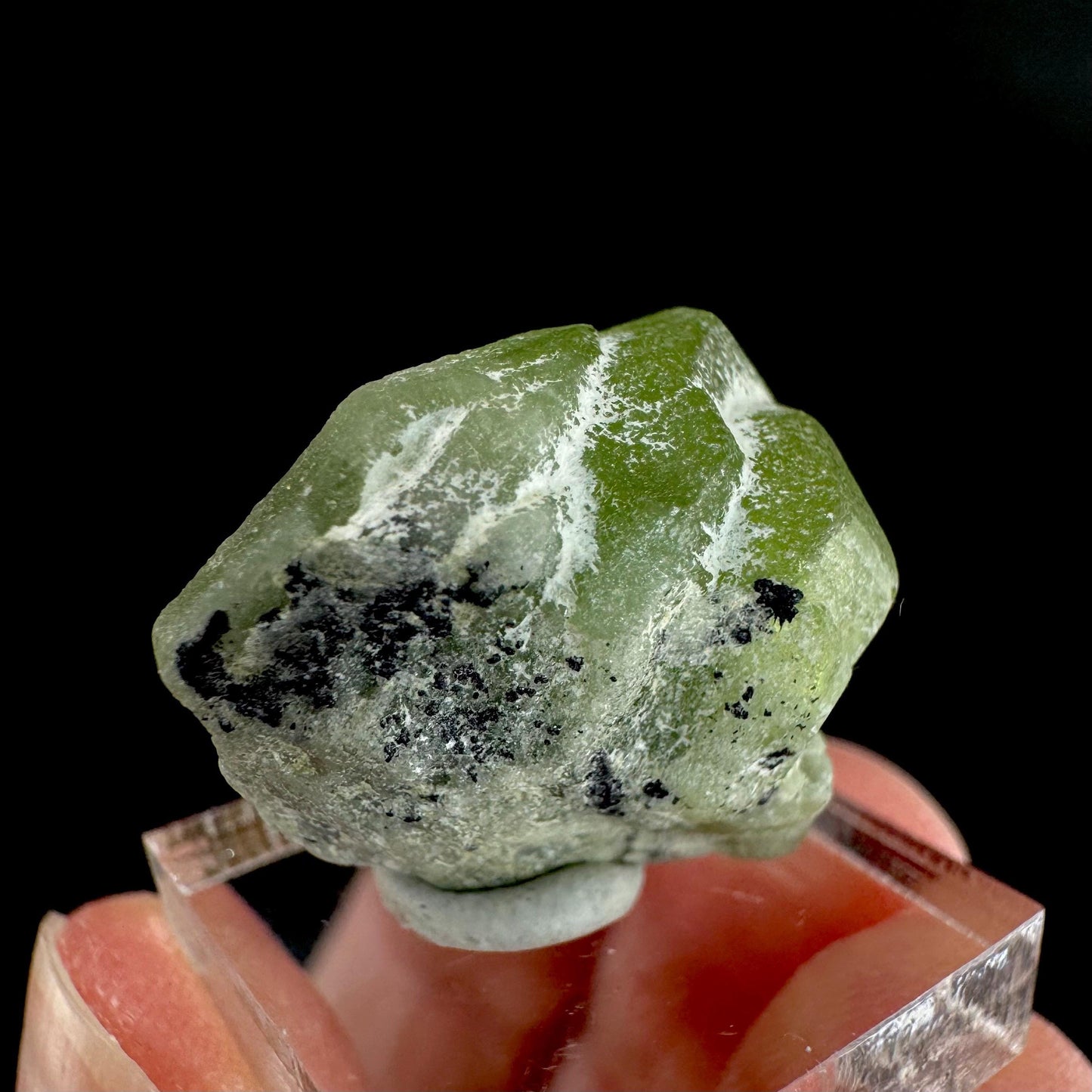 Peridot | natural terminated crystal, mineral specimen from Pakistan