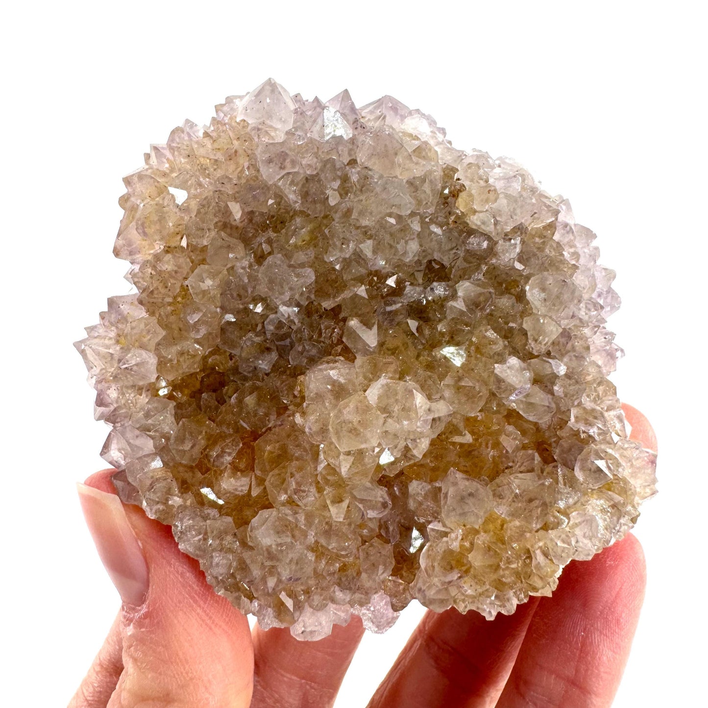 Spirit Quartz Cluster | Cactus Quartz Crystal from South Africa