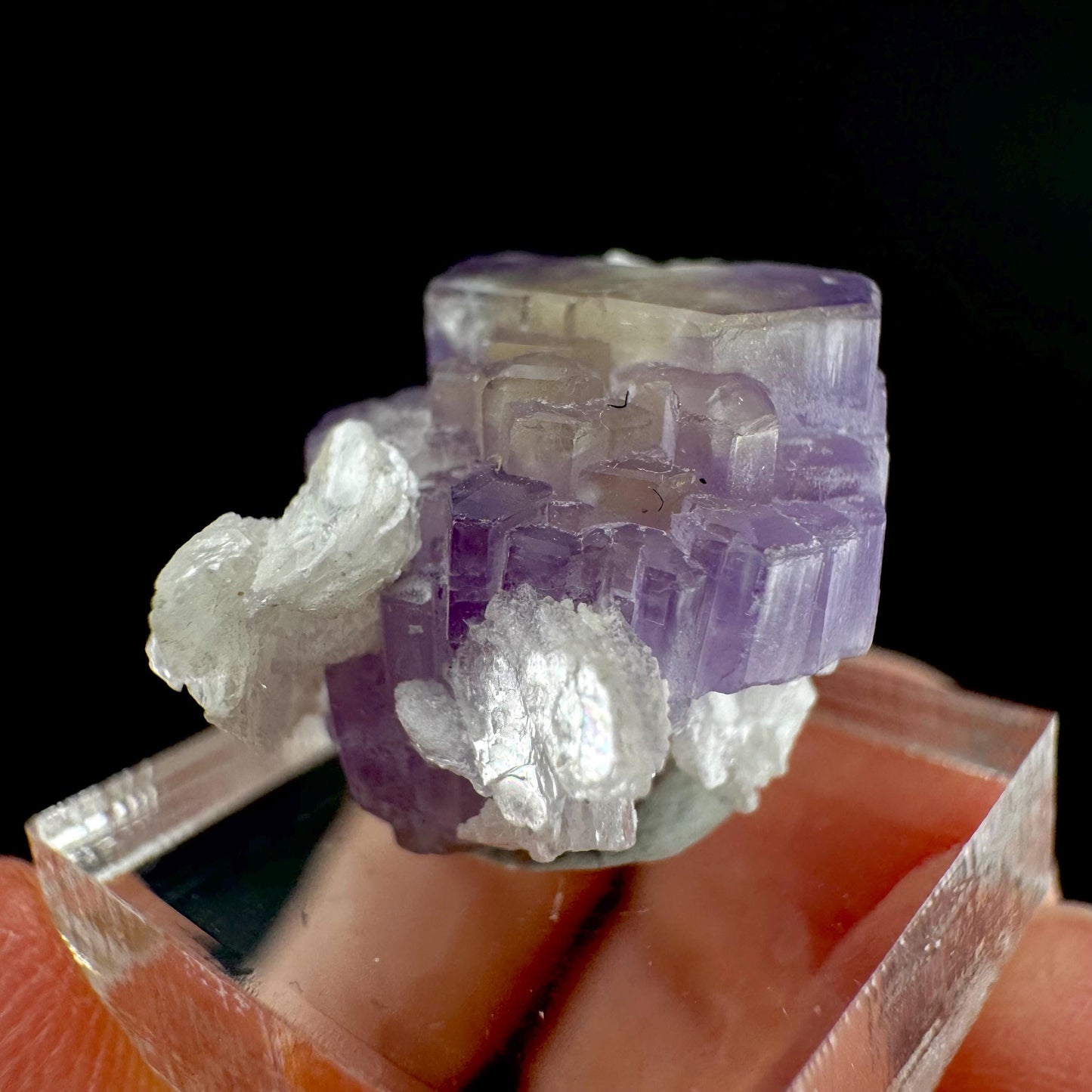 Purple Fluorapatite on Albite | natural crystal, rare mineral specimen from Afghanistan