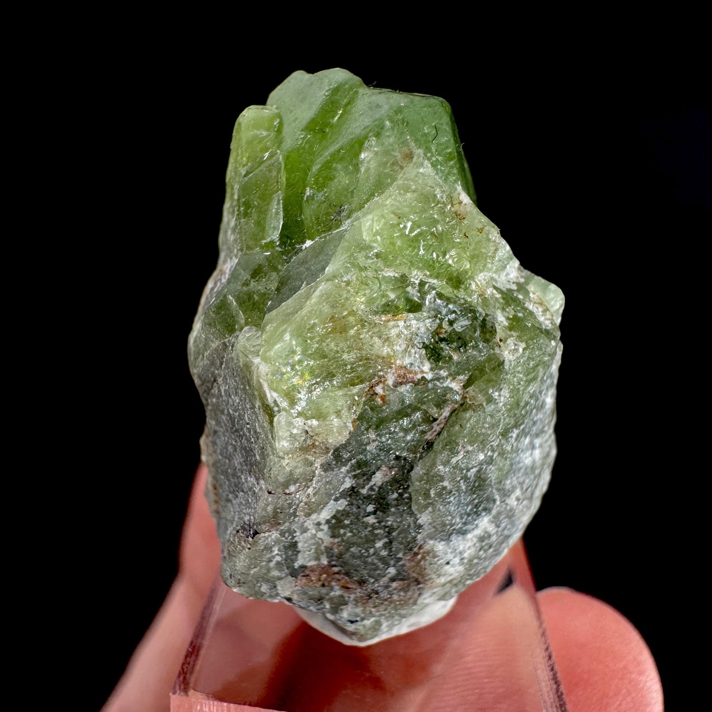 Peridot | natural terminated crystal, mineral specimen from Pakistan