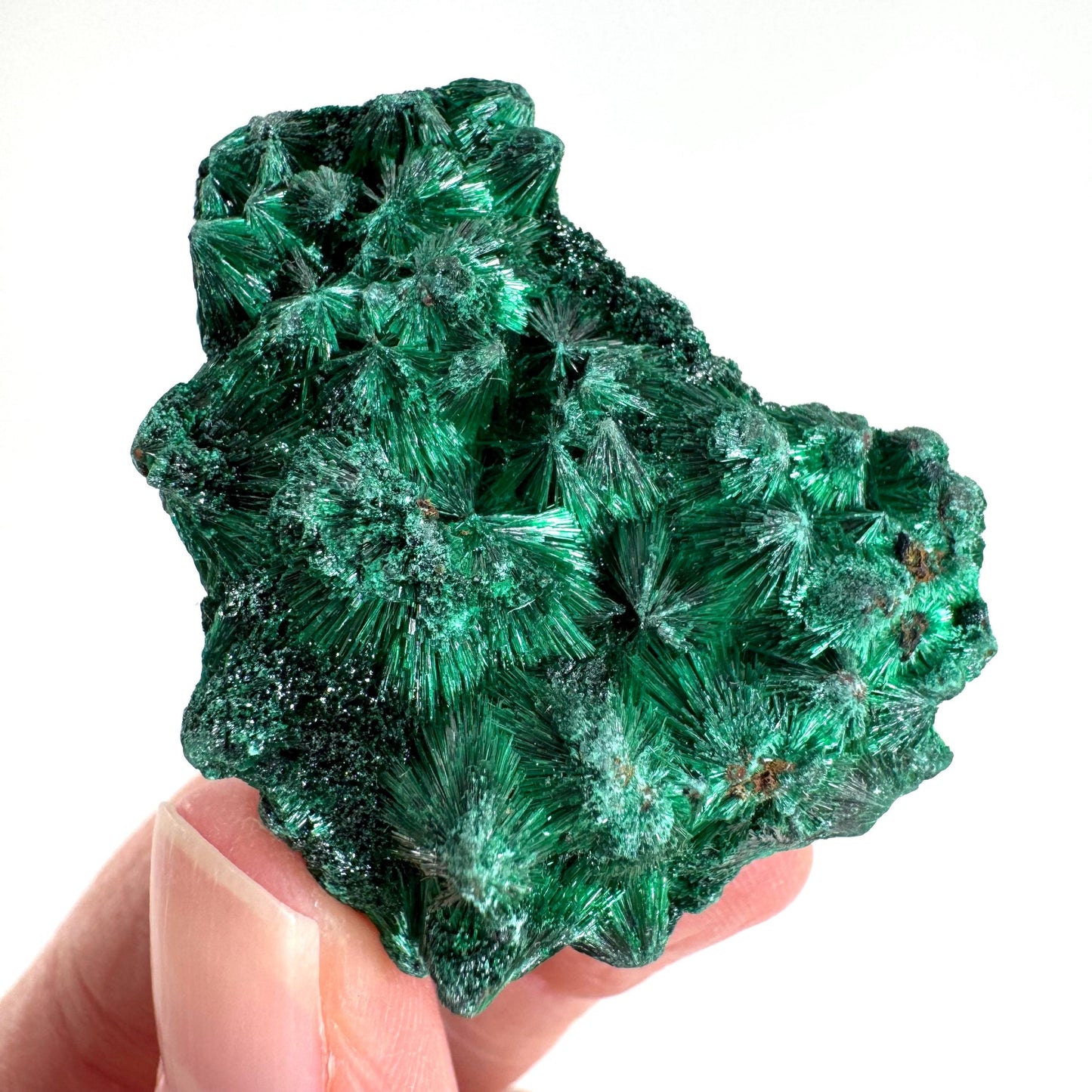 Fibrous Malachite | green velvet crystal, mineral specimen