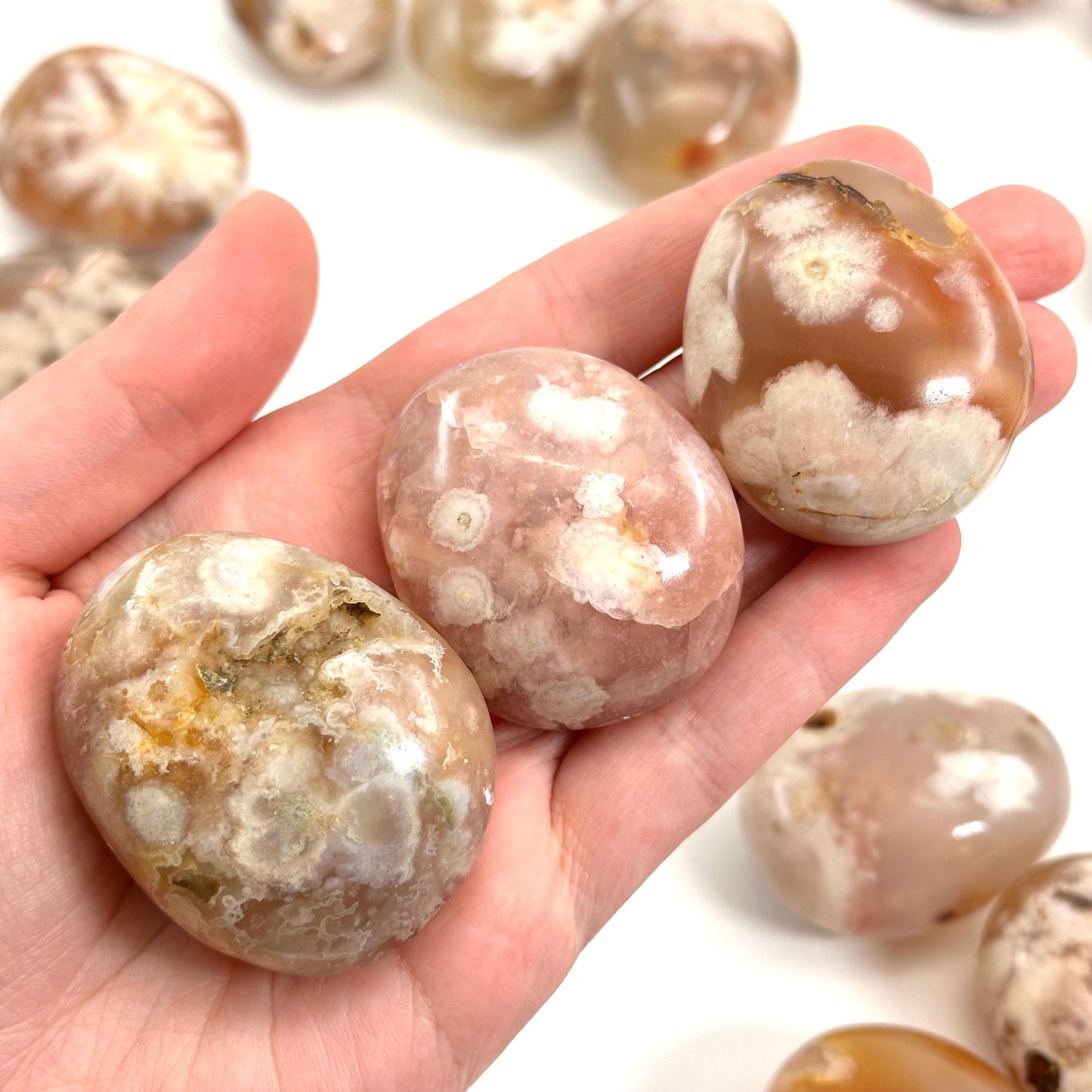 Flower Agate Palm Stone, flower agate palmstone, polished agate