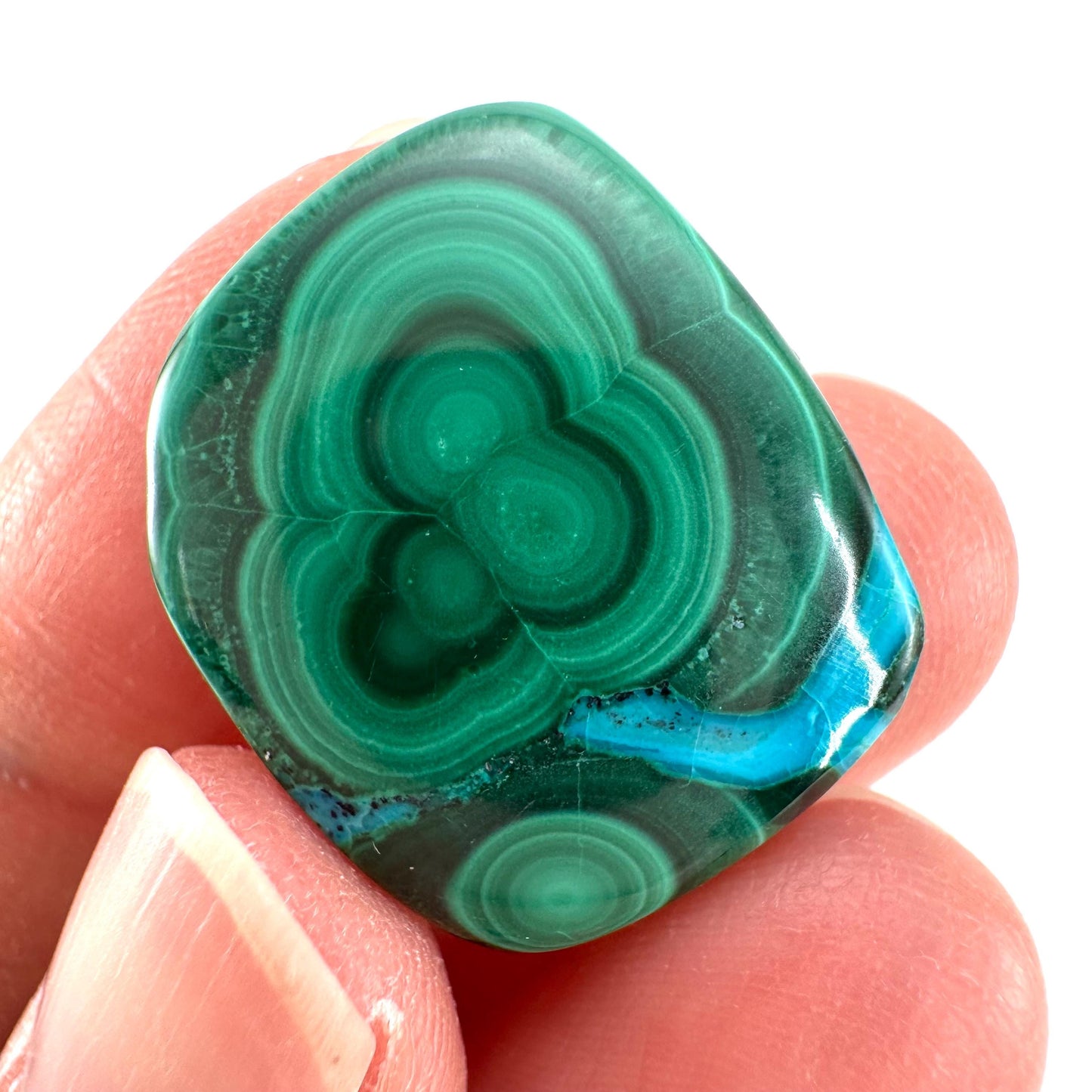 Malachite Chrysocolla Cabochon | Green and Blue Malacolla Gemstone