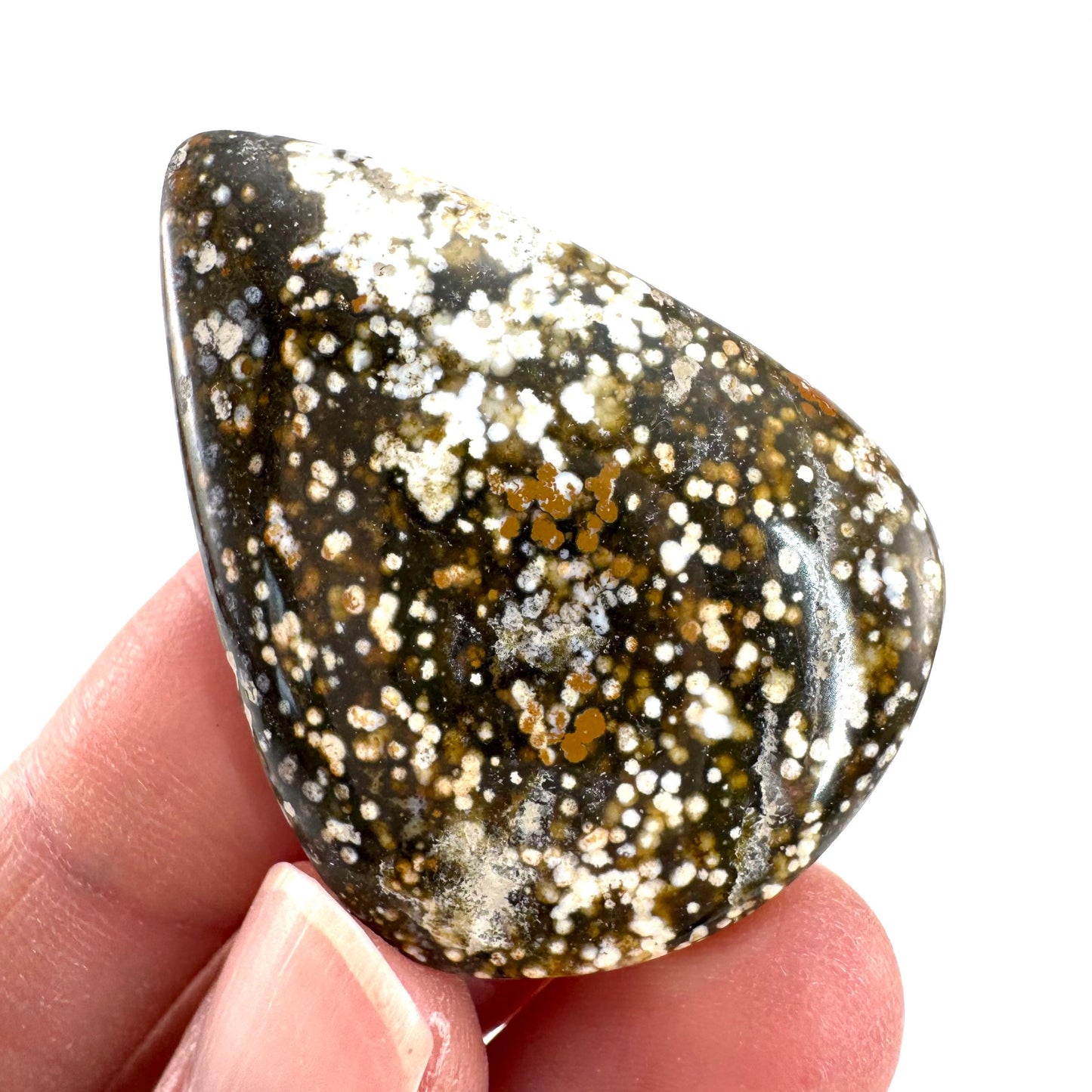 Orbicular Ocean Jasper Cabochon | Natural Gemstone