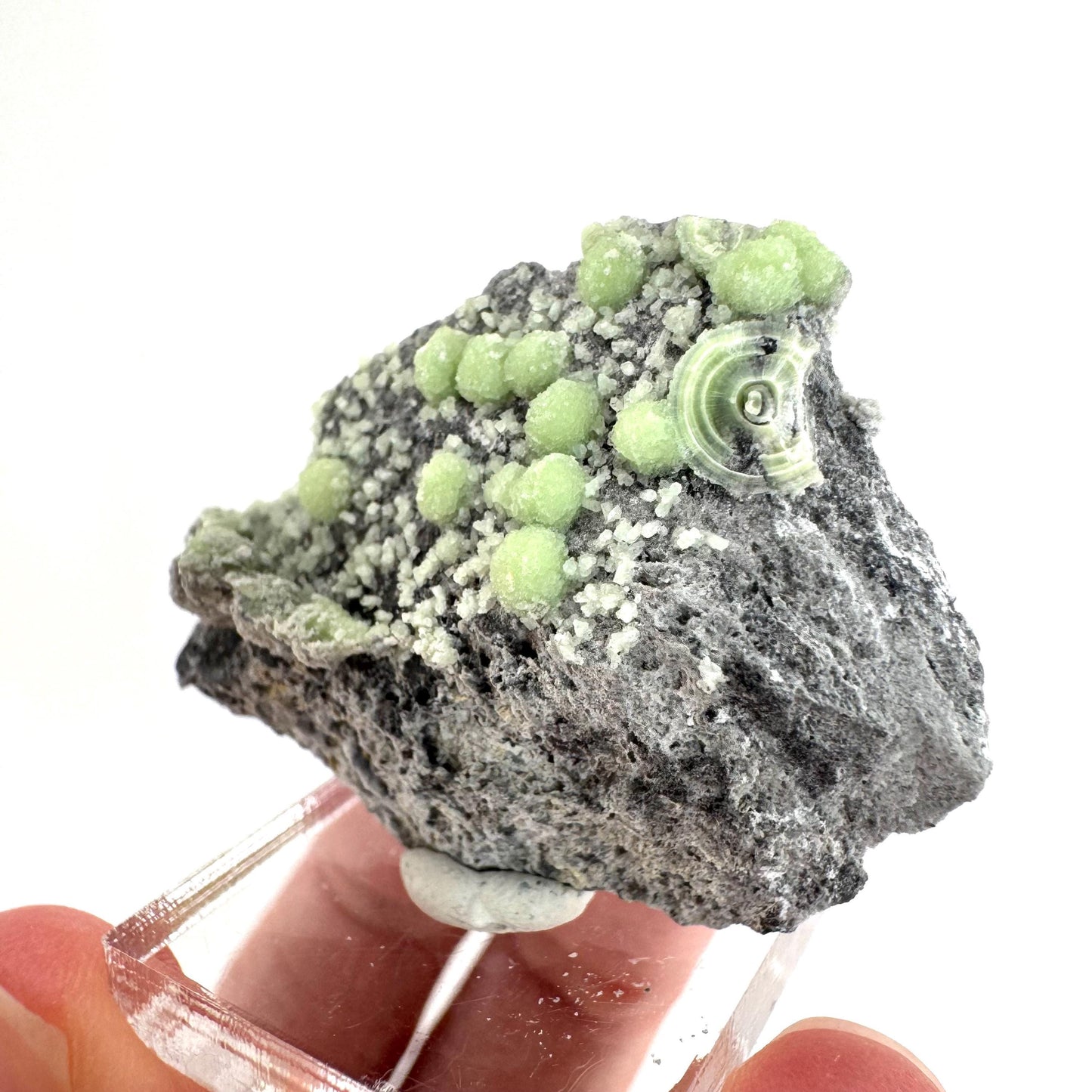 Wavellite (Arkansas, USA) | green crystal cluster, mineral specimen