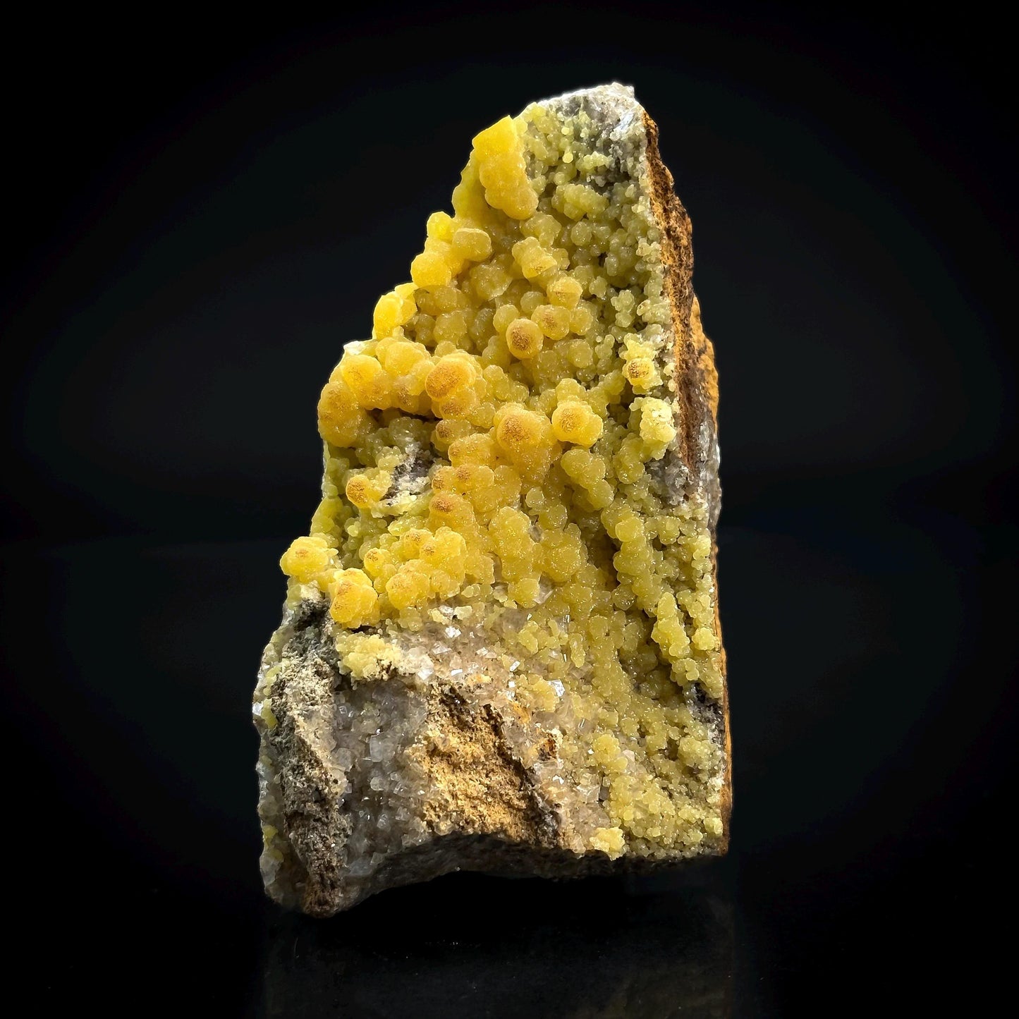 Mimetite | Yellow Crystal, Botryoidal Mineral Specimen from Mexico