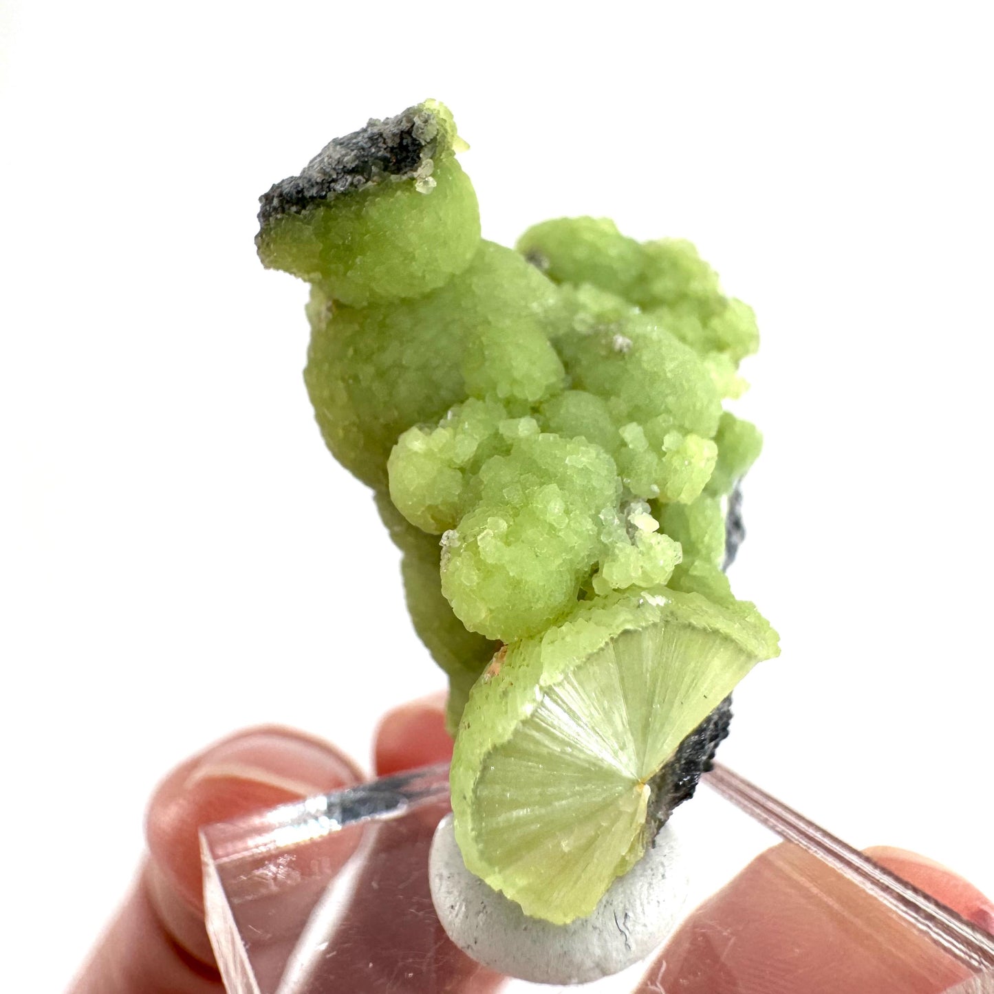 Wavellite (Arkansas, USA) | green crystal cluster, mineral specimen