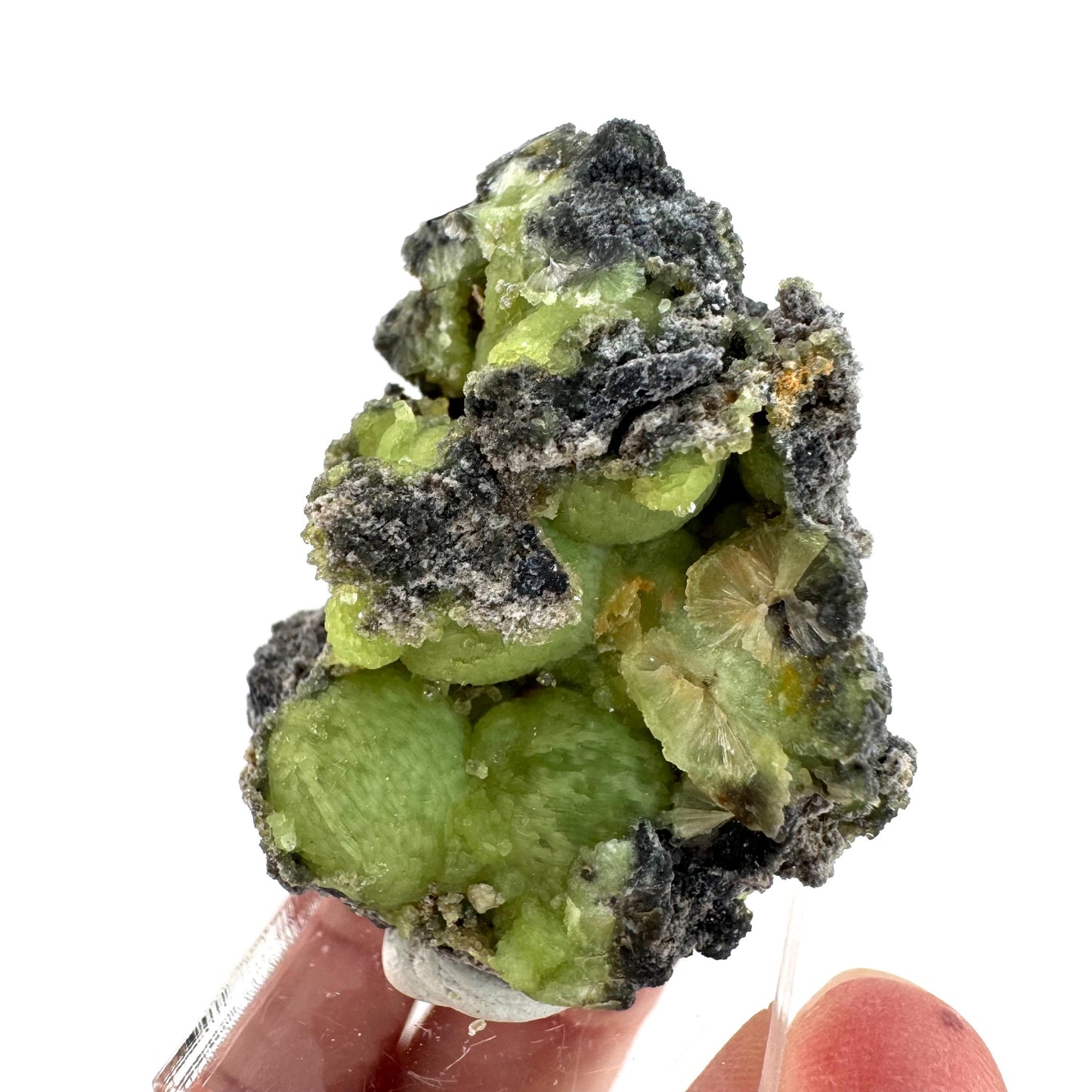 Wavellite (Arkansas, USA) | green crystal cluster, mineral specimen