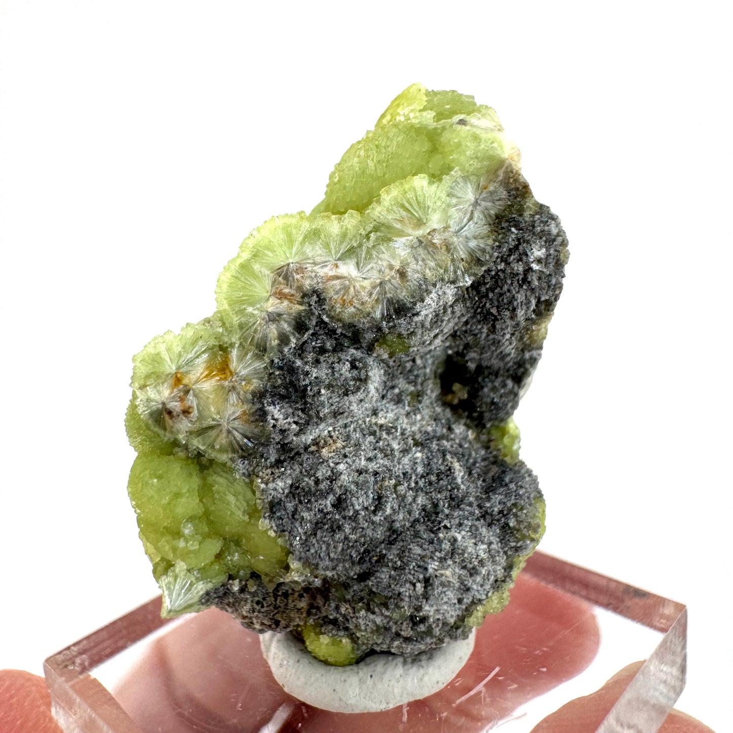 Wavellite (Arkansas, USA) | green crystal cluster, mineral specimen