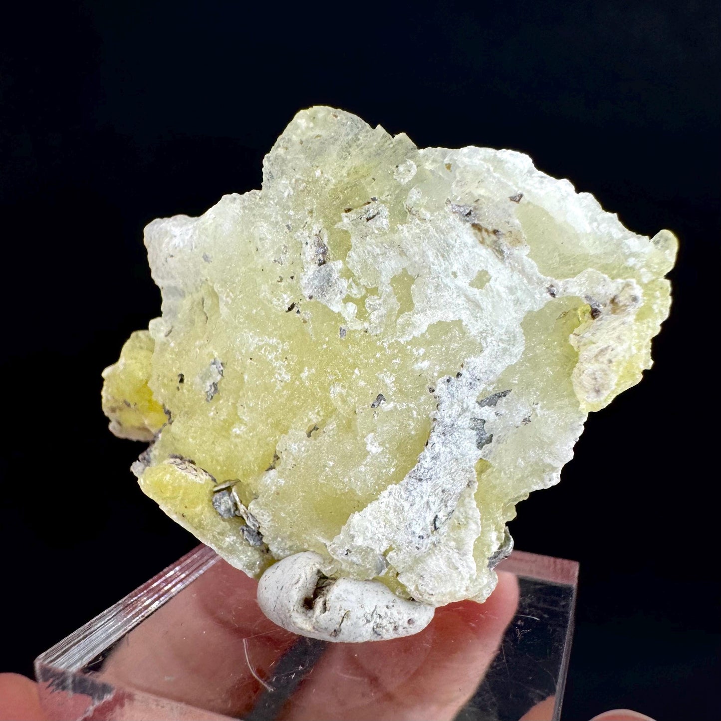 Brucite | Yellow Crystal, Lustrous Mineral Specimen From Pakistan