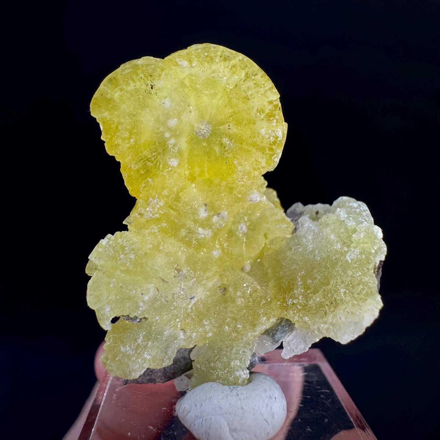 Brucite | Yellow Crystal, Lustrous Mineral Specimen From Pakistan