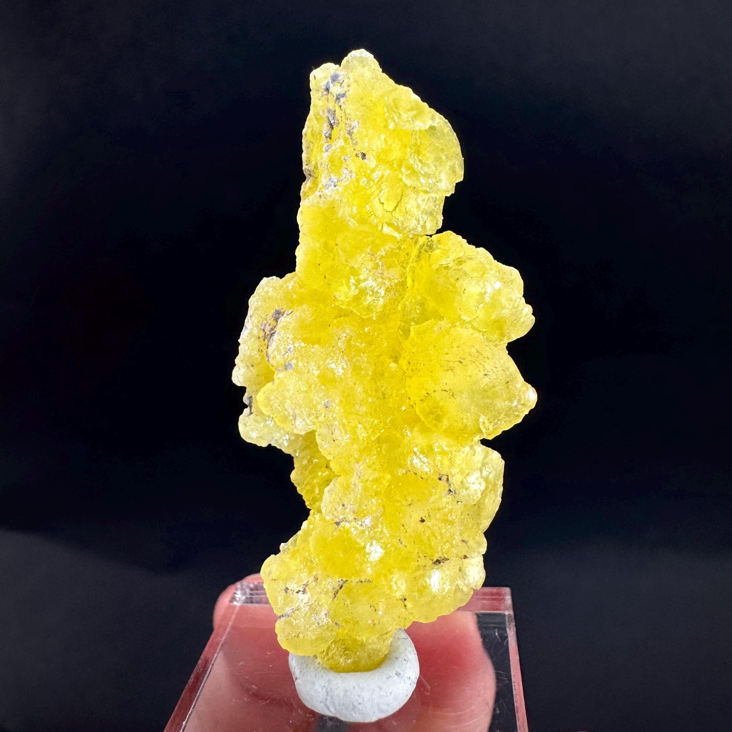 Brucite | Yellow Crystal, Lustrous Mineral Specimen From Pakistan