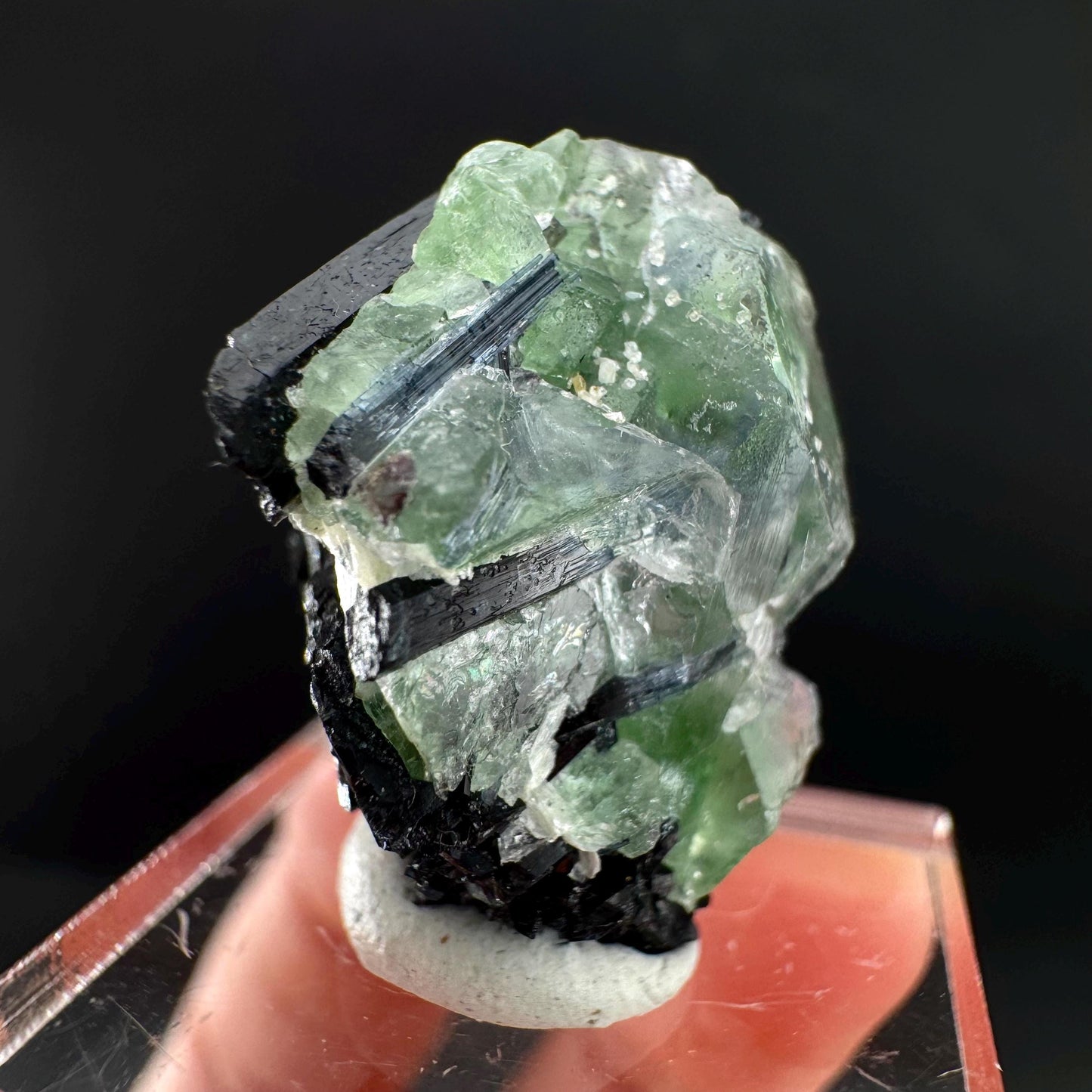 Fluorite w/ Black Tourmaline | Lollipop Pocket, green crystal, mineral specimen from Namibia