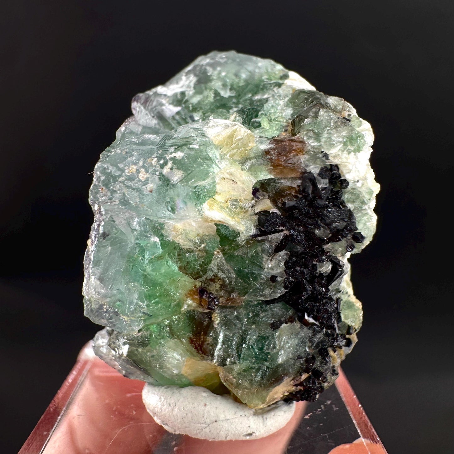Fluorite w/ Black Tourmaline | Lollipop Pocket, green crystal, mineral specimen from Namibia