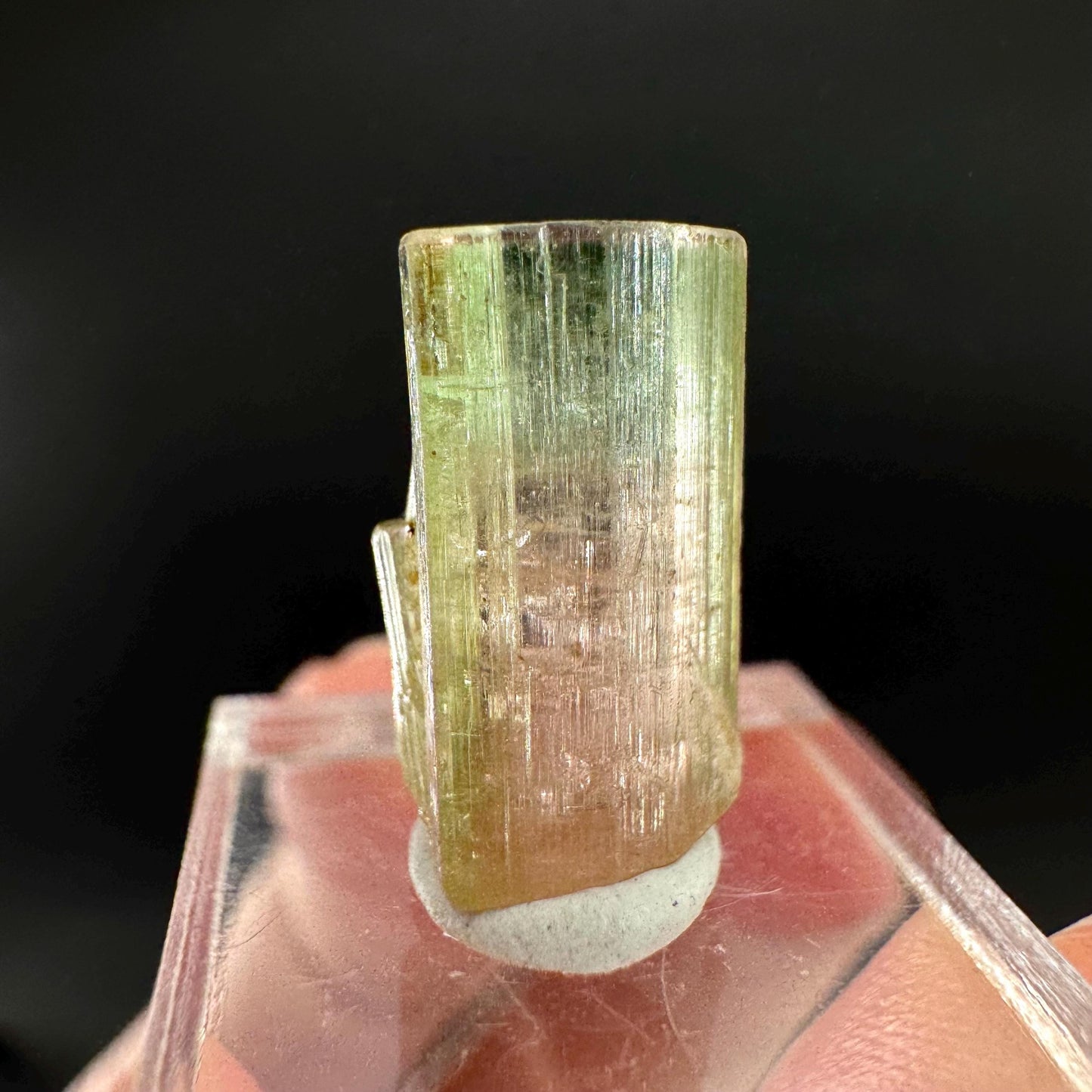 Watermelon Tourmaline | Green & Pink Bi-Color Elbaite Crystal, mineral specimen from Paprok