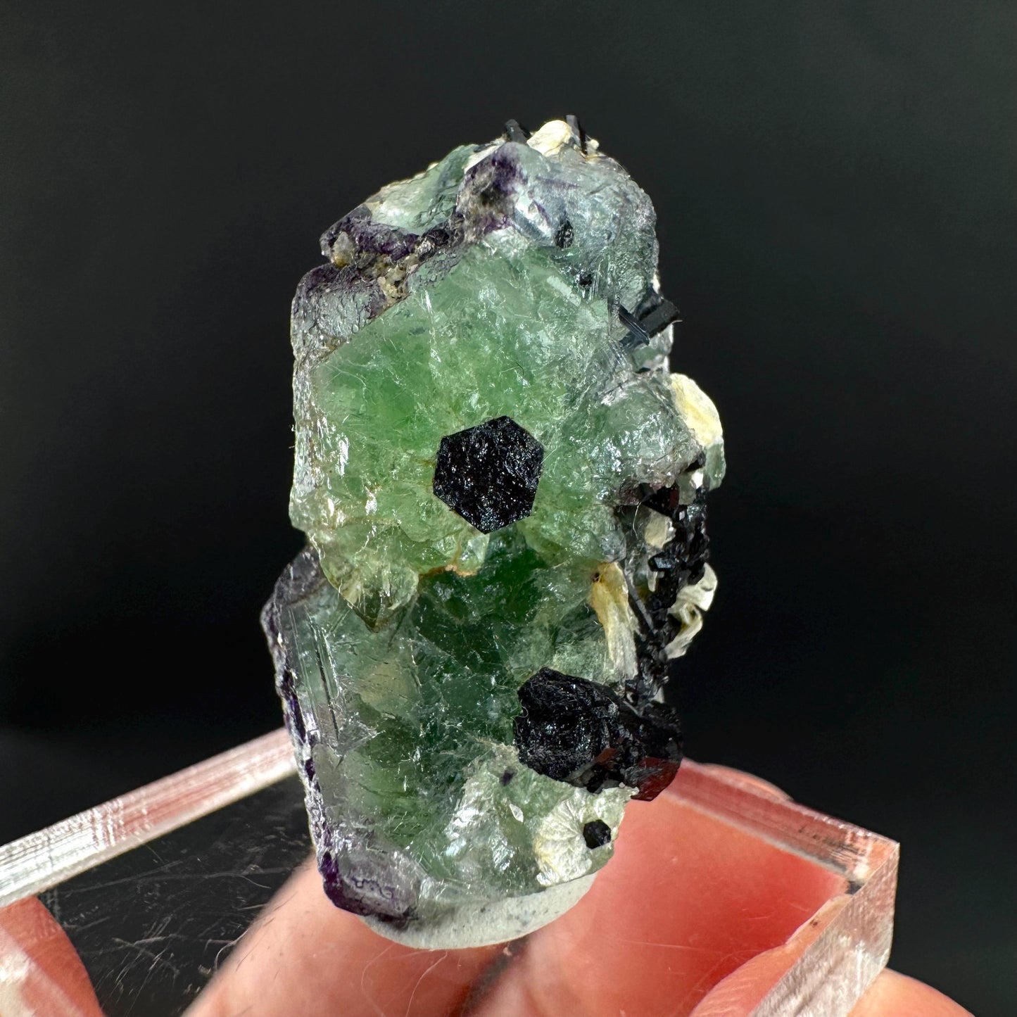 Fluorite w/ Schorl, & Muscovite | Lollipop Pocket, green crystal cluster, mineral specimen from Namibia