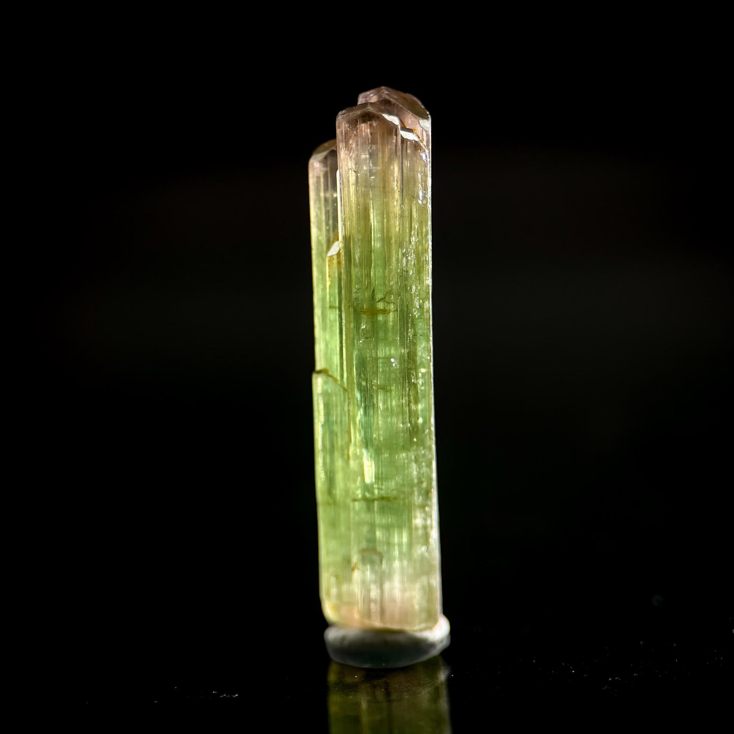 Watermelon Tourmaline | Green & Pink Bi-Color Elbaite Crystal, mineral specimen from Paprok