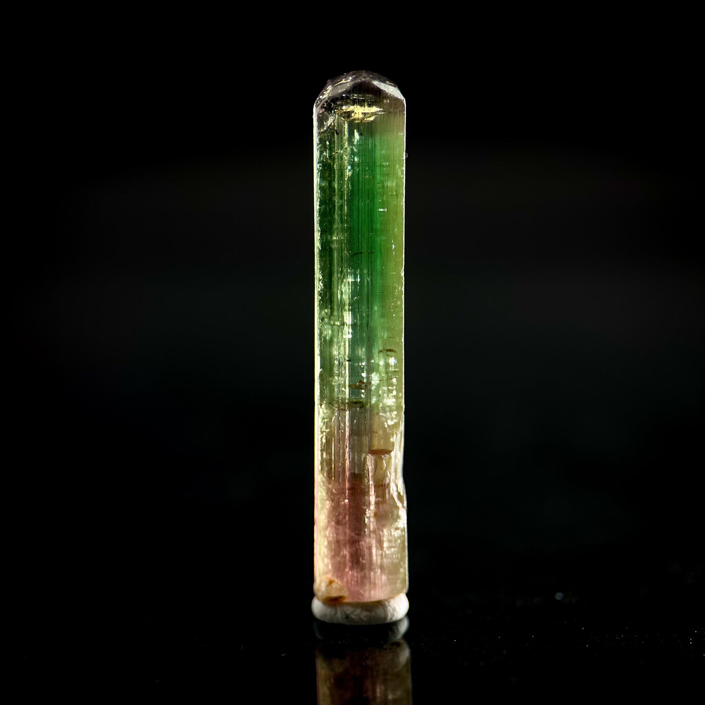 Watermelon Tourmaline | Green & Pink Bi-Color Elbaite Crystal, mineral specimen from Paprok