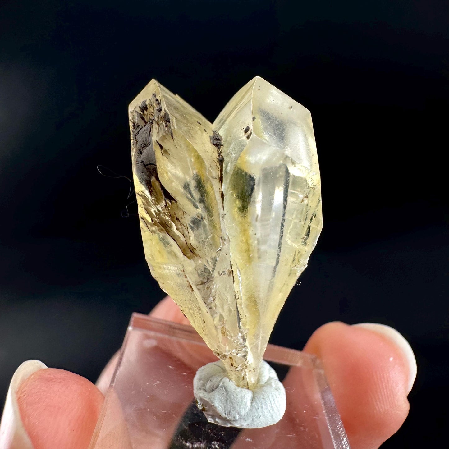 Golden Selenite Blade | Fluorescent UV Reactive Gypsum Crystal