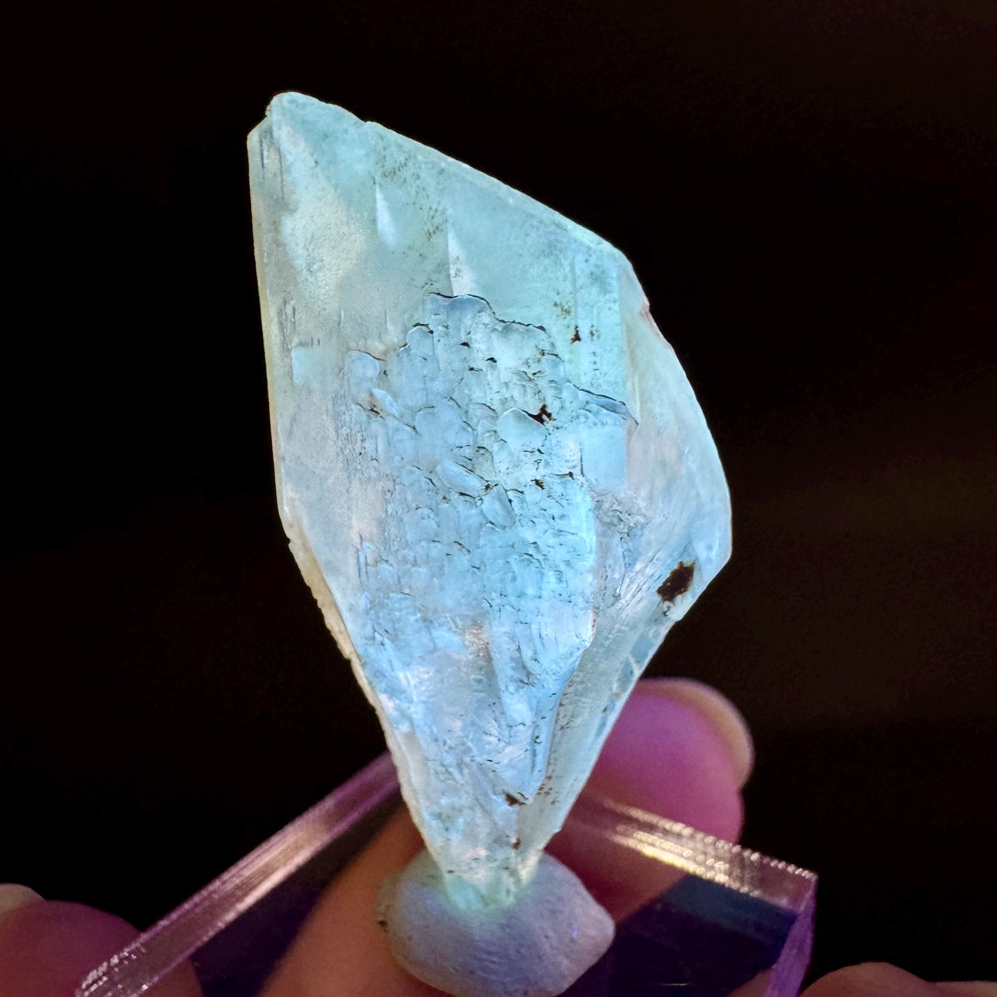 Golden Selenite Blade | Fluorescent UV Reactive Gypsum Crystal