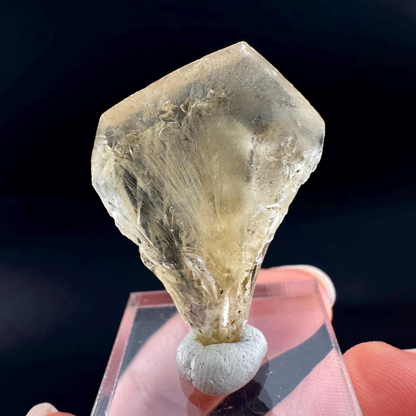 Golden Selenite Blade | Fluorescent UV Reactive Gypsum Crystal